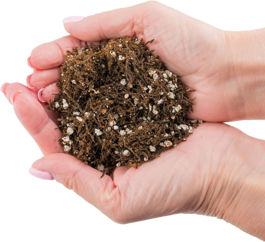 Fern + Perlite Soil Mix - 10 Quart - for Repotting and Planting Succulents and Cactuses (2 Bags of 5 Quart)