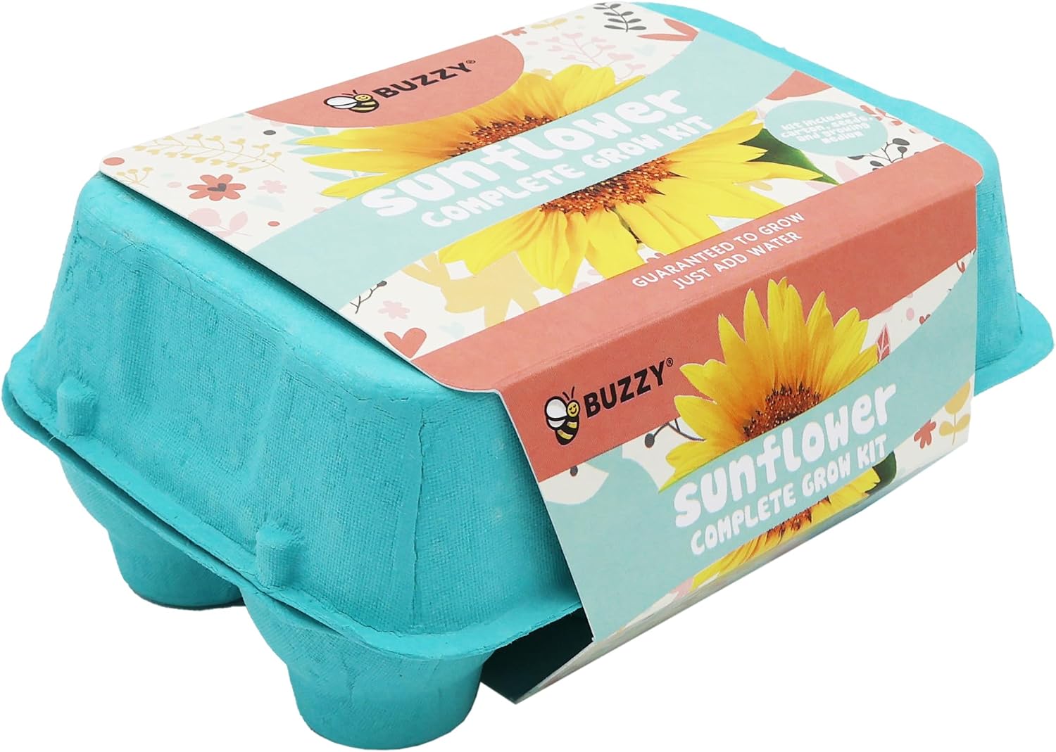 Buzzy Seeds Flower Starter Kit 2-Pack - Egg Carton Eco-Friendly Pots - Complete Indoor Gardening Kit with Seeds