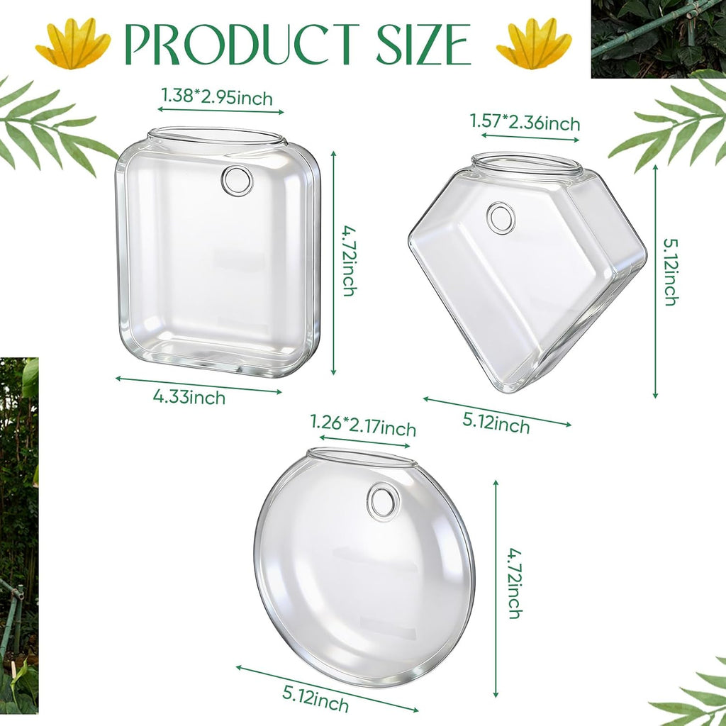 LemonRoad 6 Pcs Wall Hanging Glass Wall Hanging Planter Propagation Station Terrariums Clear Glass Vase Container for