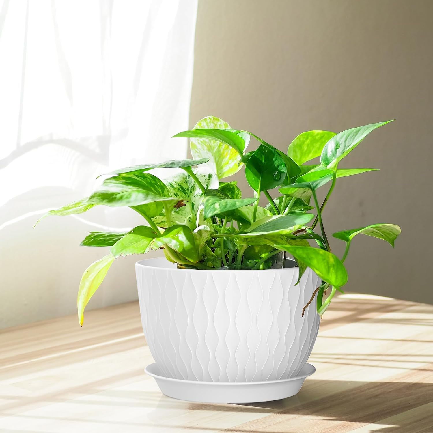 QRRICA Plant Pots 12/10/9 Inch Pots, Set of 3 Plastic Planters with Drainage Holes and Saucers,Plastic Flower