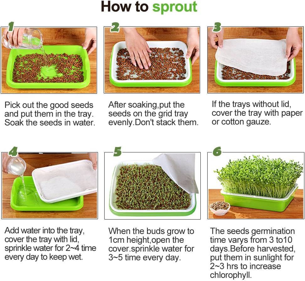 4 Layers Sprout Trays with Extra Strength Plastic Shelf Soil-Free Healthy Wheatgrass Seeds Grower & Storage Trays for