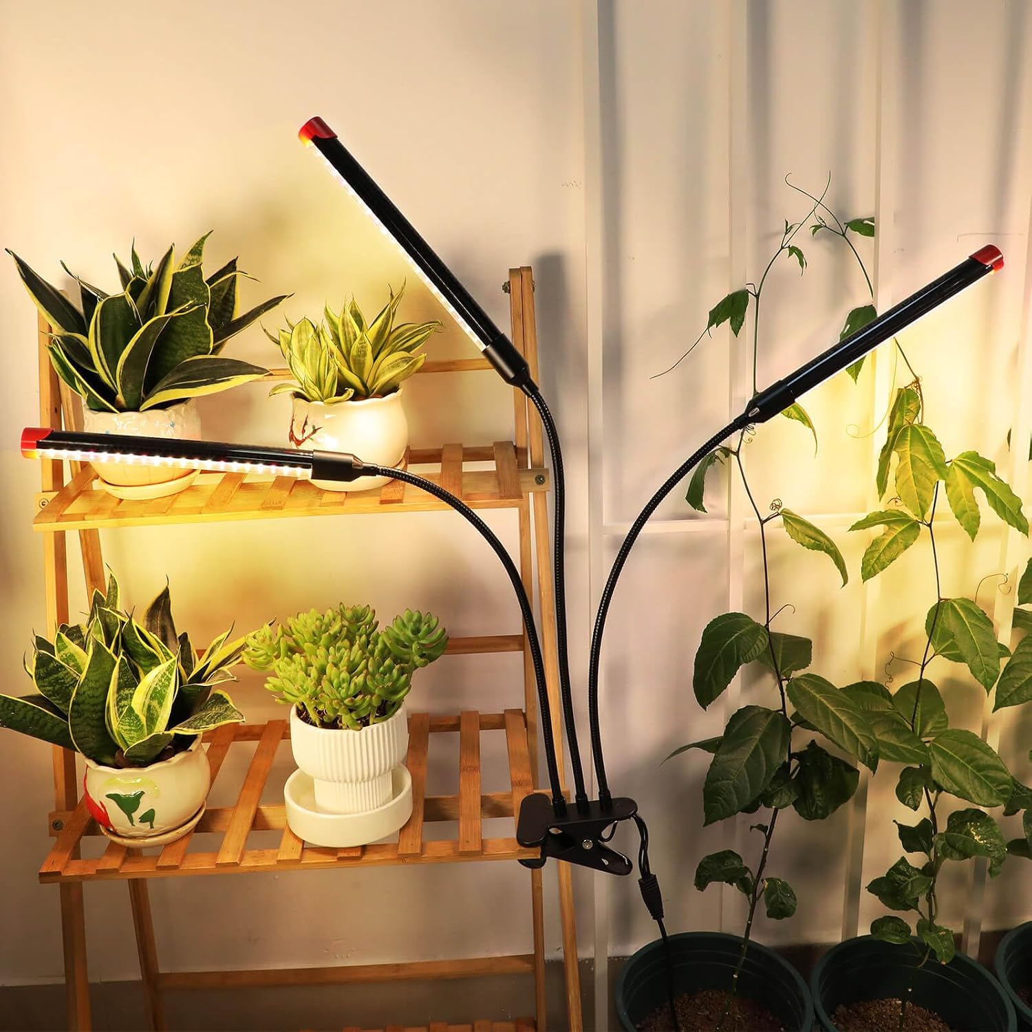 Clip Grow Lights for Indoor Plants, Seed Starting, Bonsai, 4/8/12/16/20H Timer, Full Spectrum Plant Growing Lamps, 27