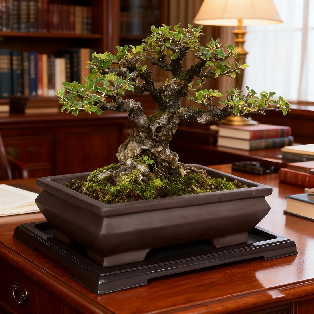 MUZHI Unglazed Ceramic Bonsai Pot with Drainage Tray, Rectangle Vintage Brown Bonsai Planter with 4 Raised Feet for