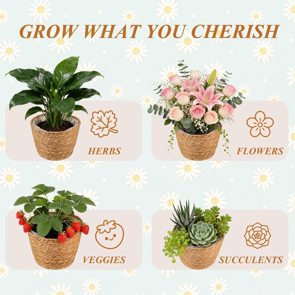 2PCS Seagrass Plant Basket for Indoor and Outdoor,Wicker Planter Basket with Liner for 6 inch Pot,Indoor Plant Pot