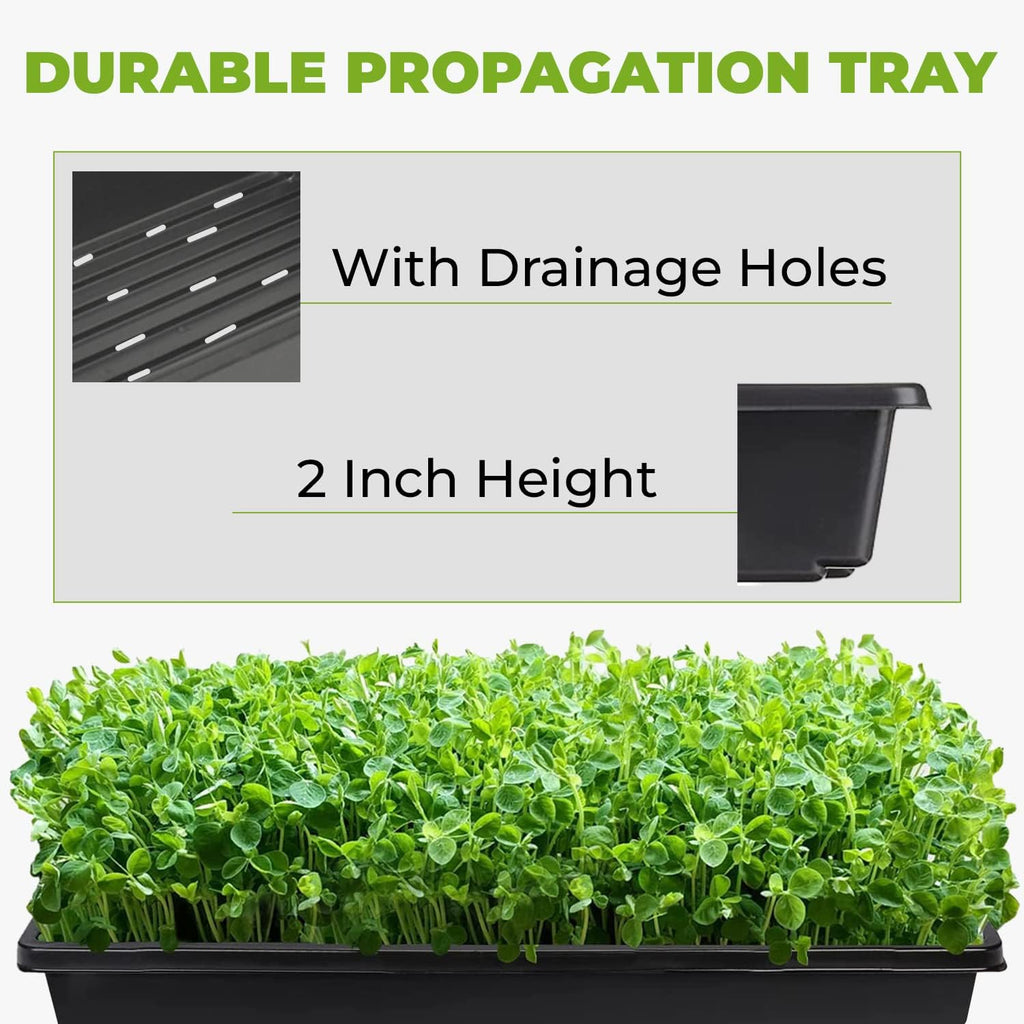 1020 Trays with Holes (100 Pack) for Microgreens Growing Trays, Made in USA, Premium 10" x 20" Propagation Tray for