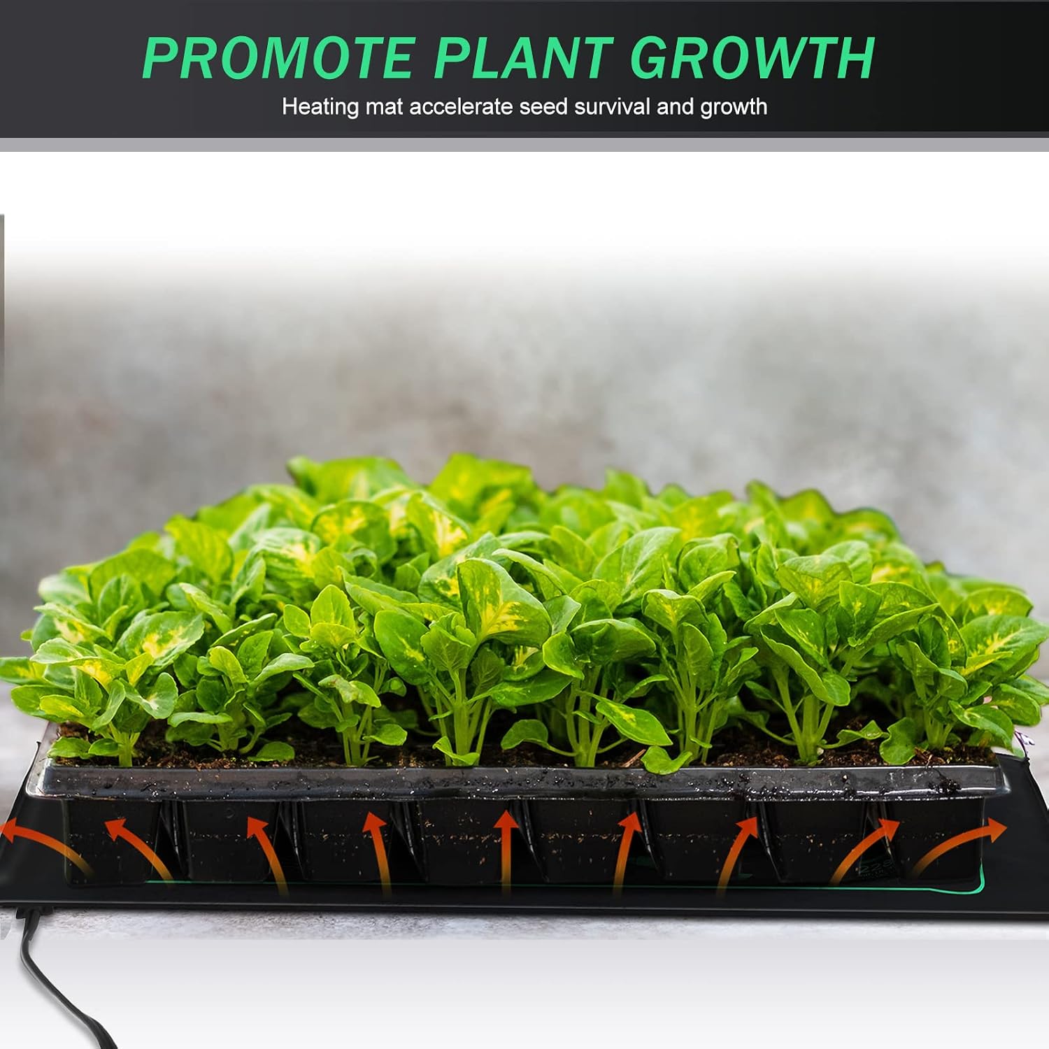 4 Pack Seedling Heat Mat Heating Mat for Seedlings Grow Mats Waterproof Hydroponic Heating Pad Heat Plant Heating Mat