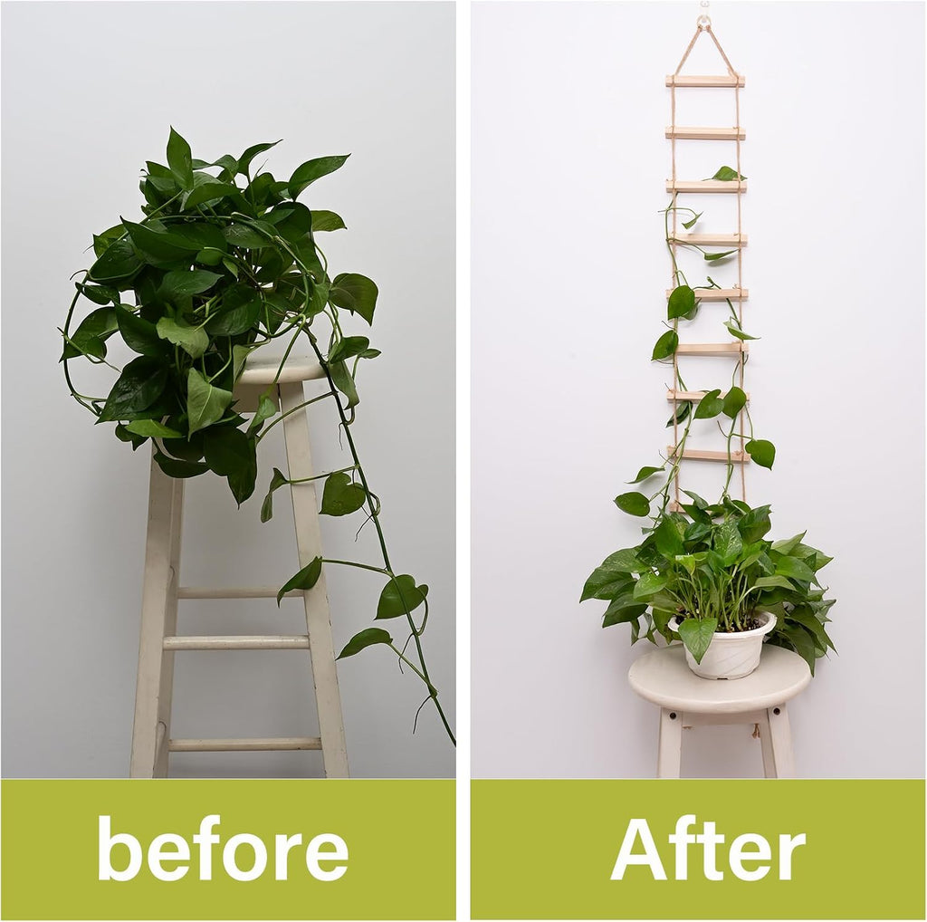 2pcs Plant Ladder Indoor Climb Plants Hanging Wooden Trellis Vine Support | Chain Trellis for Potted Plants Easy