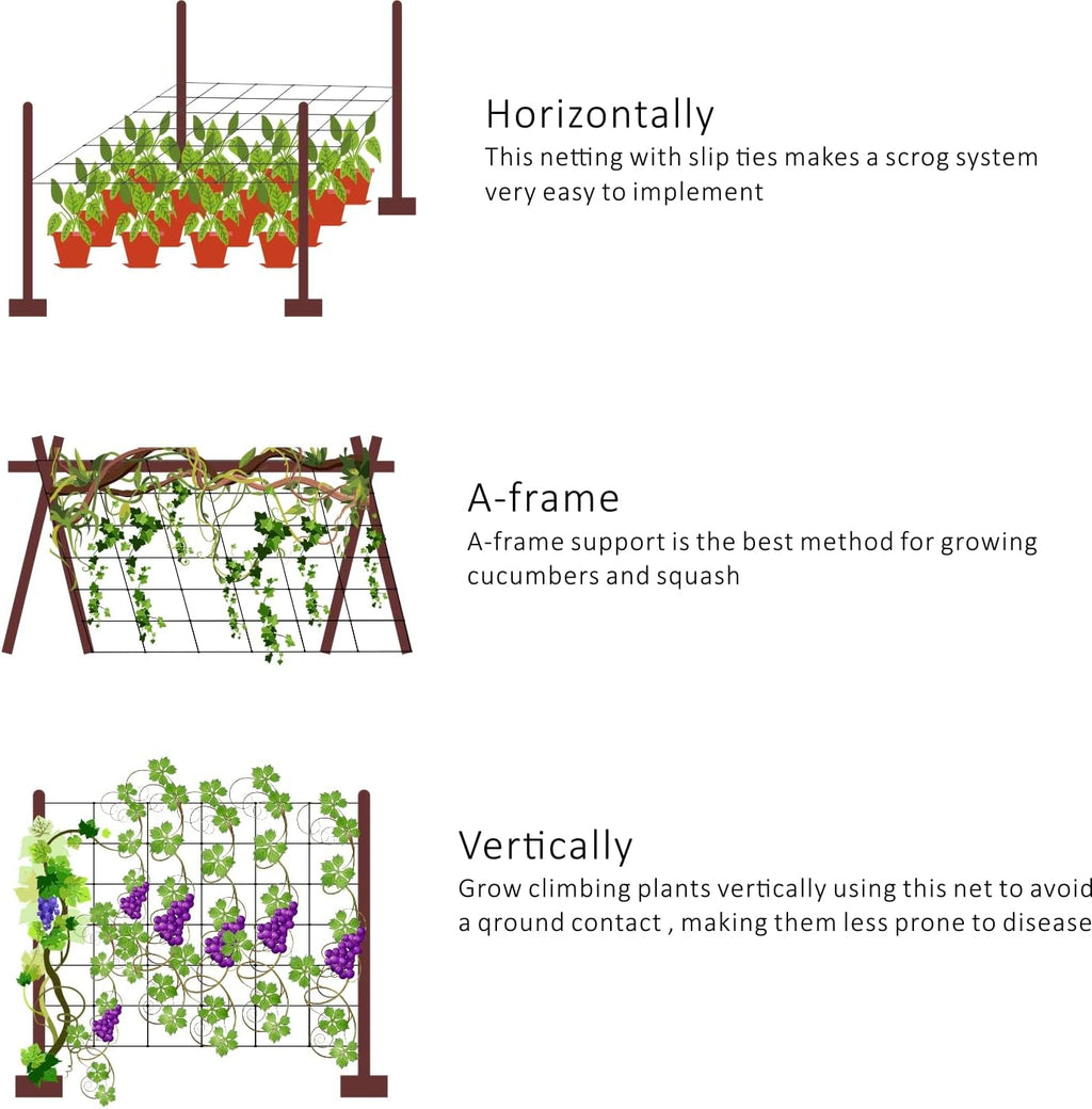 Toolazy Trellis Netting 59" x328' White - Heavy Duty 6" Mesh Plant Support Net for Climbing Vegetables, Garden Trellis