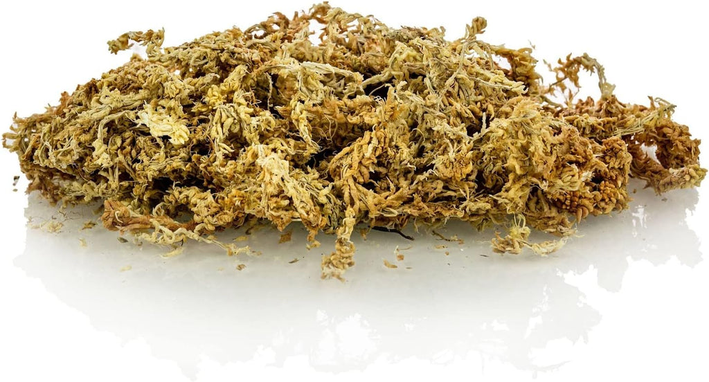 Premium New Zealand Sphagnum Moss by Gardenera - Organic Hand Mixed Long Fibered Sphagnum Moss Orchid - 3 Quart