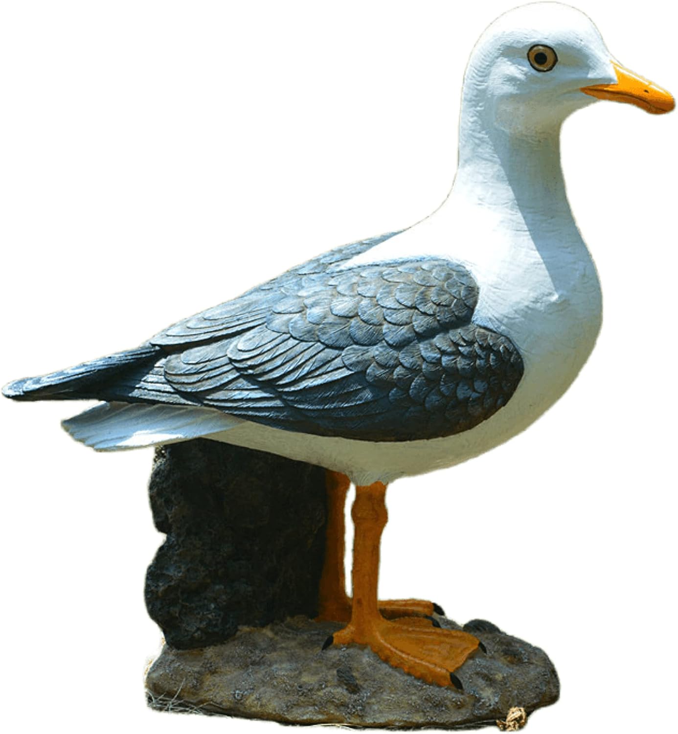 Real Seagull Outdoor Sculpture,Garden Bird Statue,Beach Statue Decor,Resin Animal Seabird Ornaments,Coastal Beach