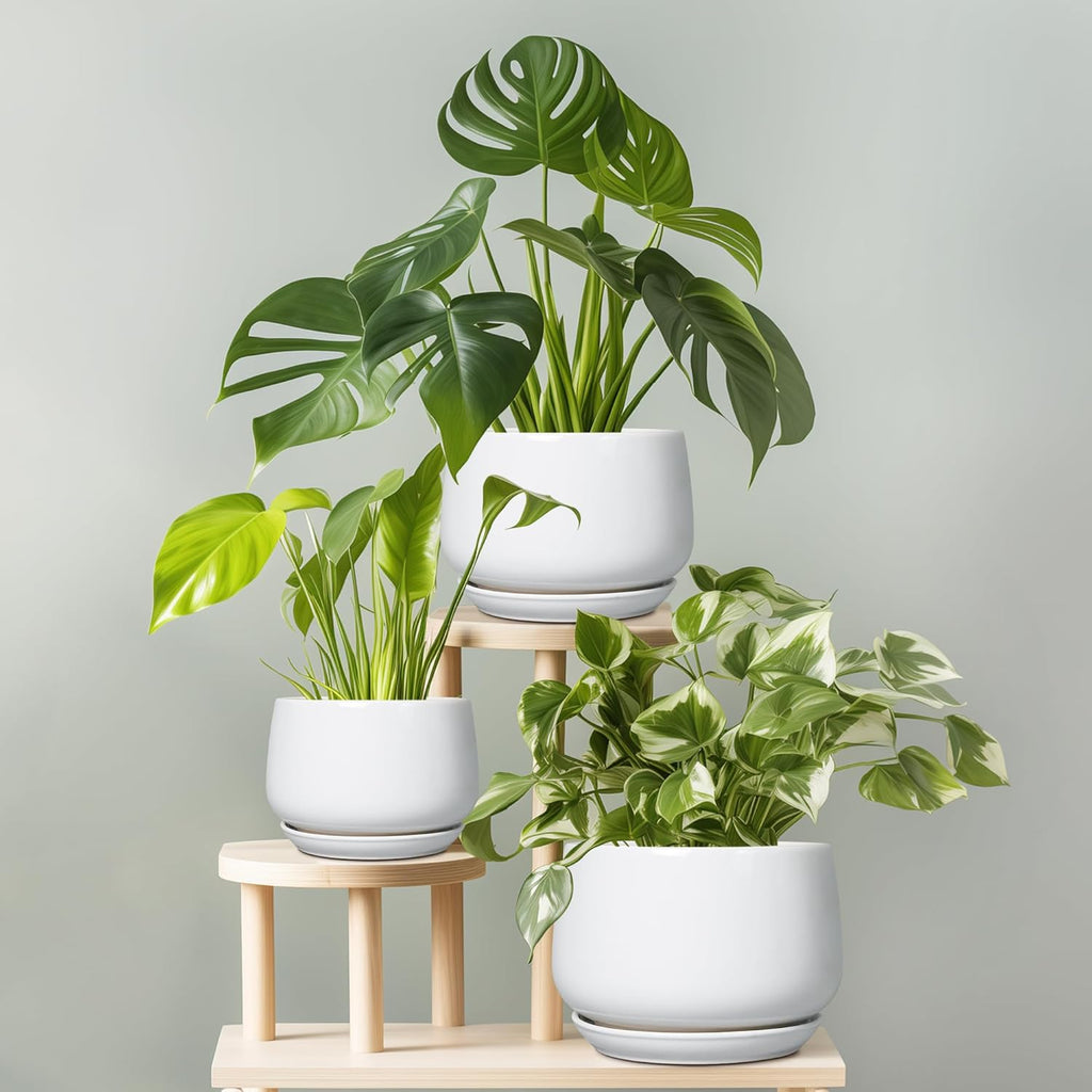 G EPGardening Ceramic Pots for Plants - 6 Inch Planter for Indoor Plants, Flower Pots with Drainage and Ceramic Tray