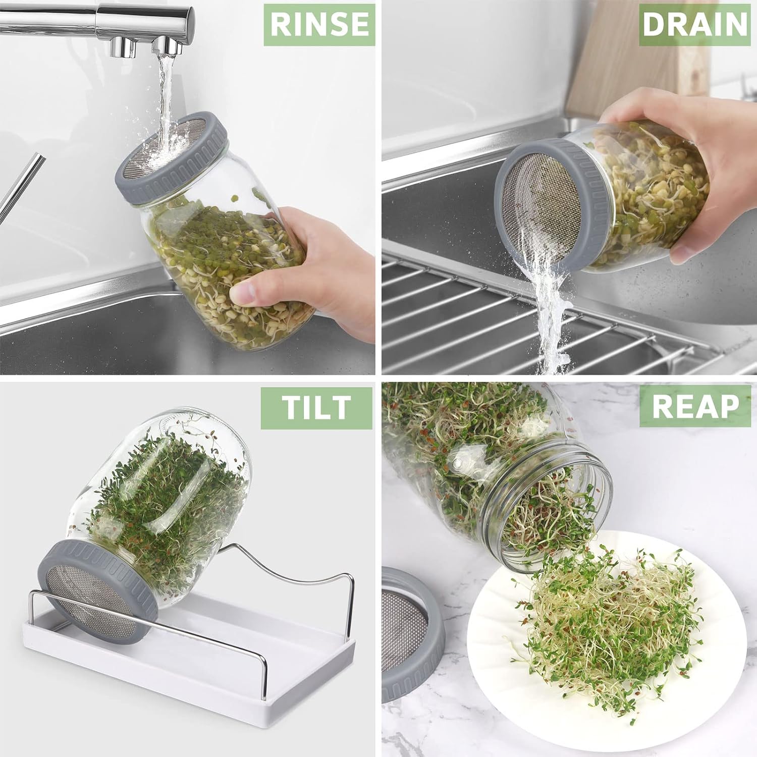 Complete Sprouting Jar Kit| 2 Wide Mouth Mason Jars, 316 Screen Sprout Lids, Blackout Sleeves, Tray, Stand| Sprouter