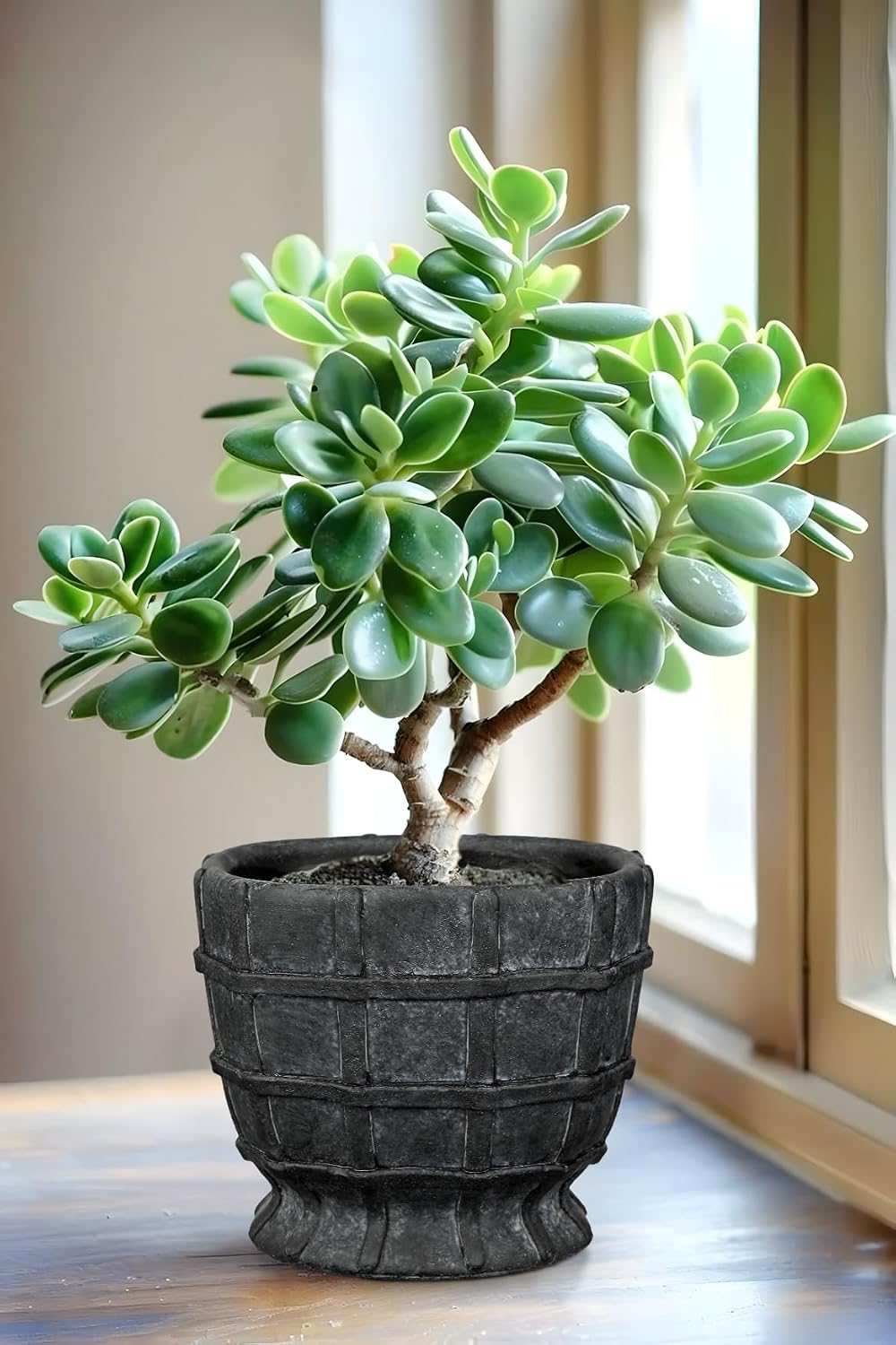 6" Black Ceramic Plant Pots with Drainage Hole, Rustic Flower Pots for Indoor Plants, Outdoor Decorative Ceramic