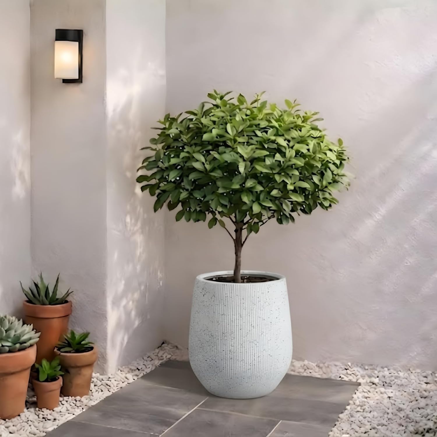 KUTE NEST 12.5"H x 11.5"D Premium Corso Fiberstone Planter - Speckled White | 9" Pot Opening, Ribbed, Included 2 Extra