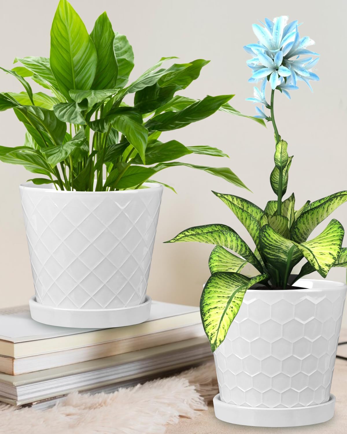 EFISPSS Ceramic Plant Pots, 6 Inch Pots for Indoor Plants, Planters with Drainage Hole and Saucer, Flower Pots Desktop