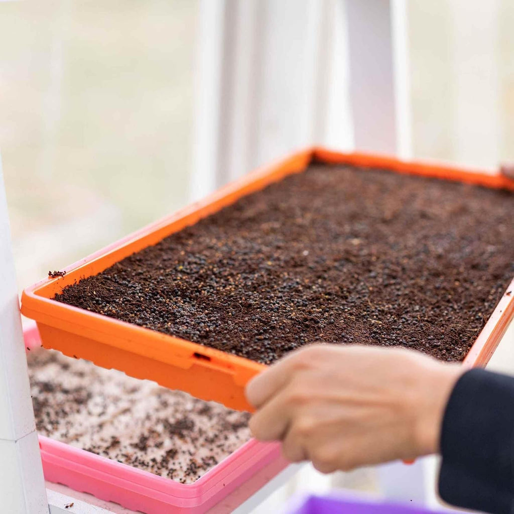 Bootstrap Farmer 1020 Trays with Holes, Extra Strength, 30 Pack Multicolor