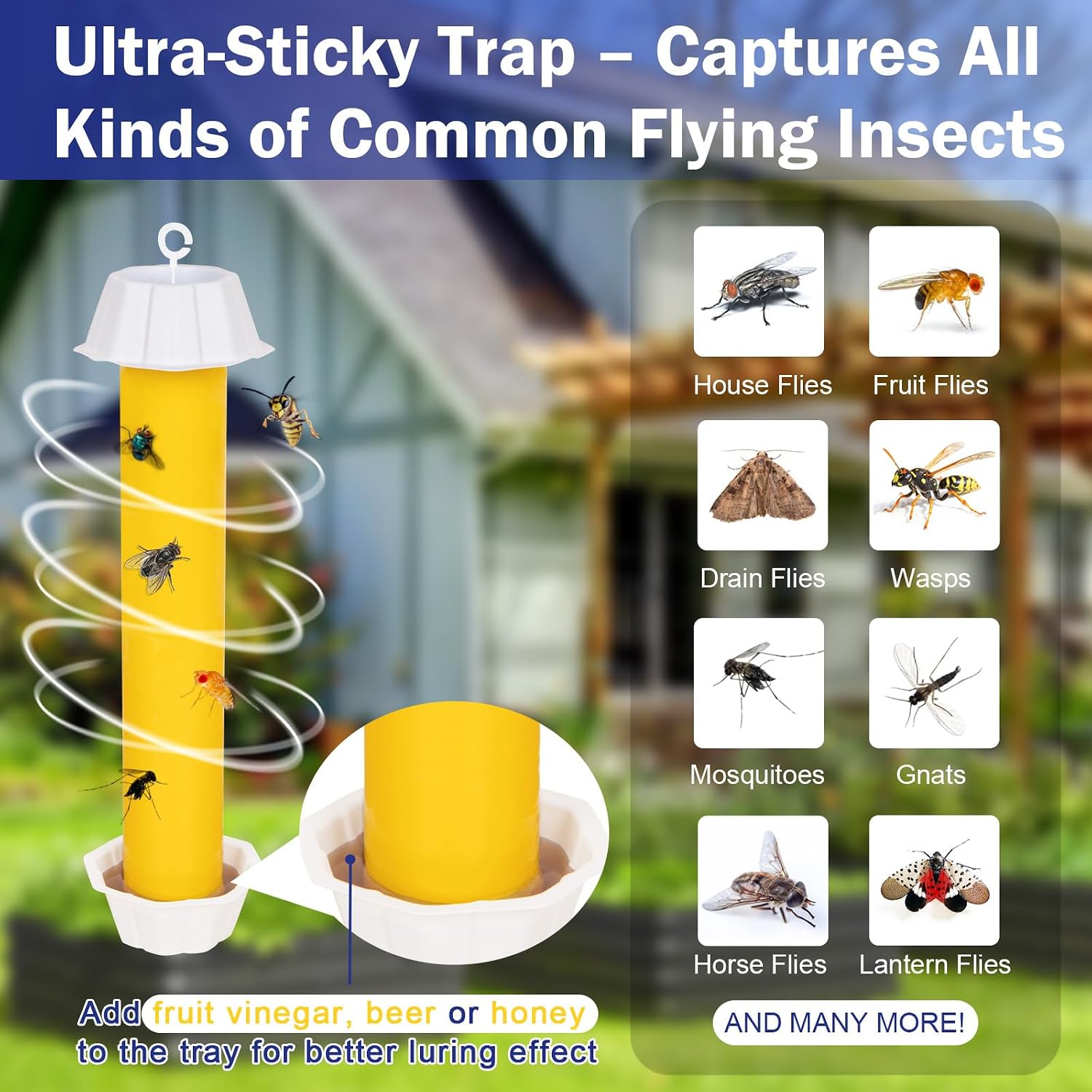 Sticky Fly Traps Indoors & Outdoor 6pk | Fly Stick Catcher Strips for Gnats, House Flying Insect, Super Sticky Hanging