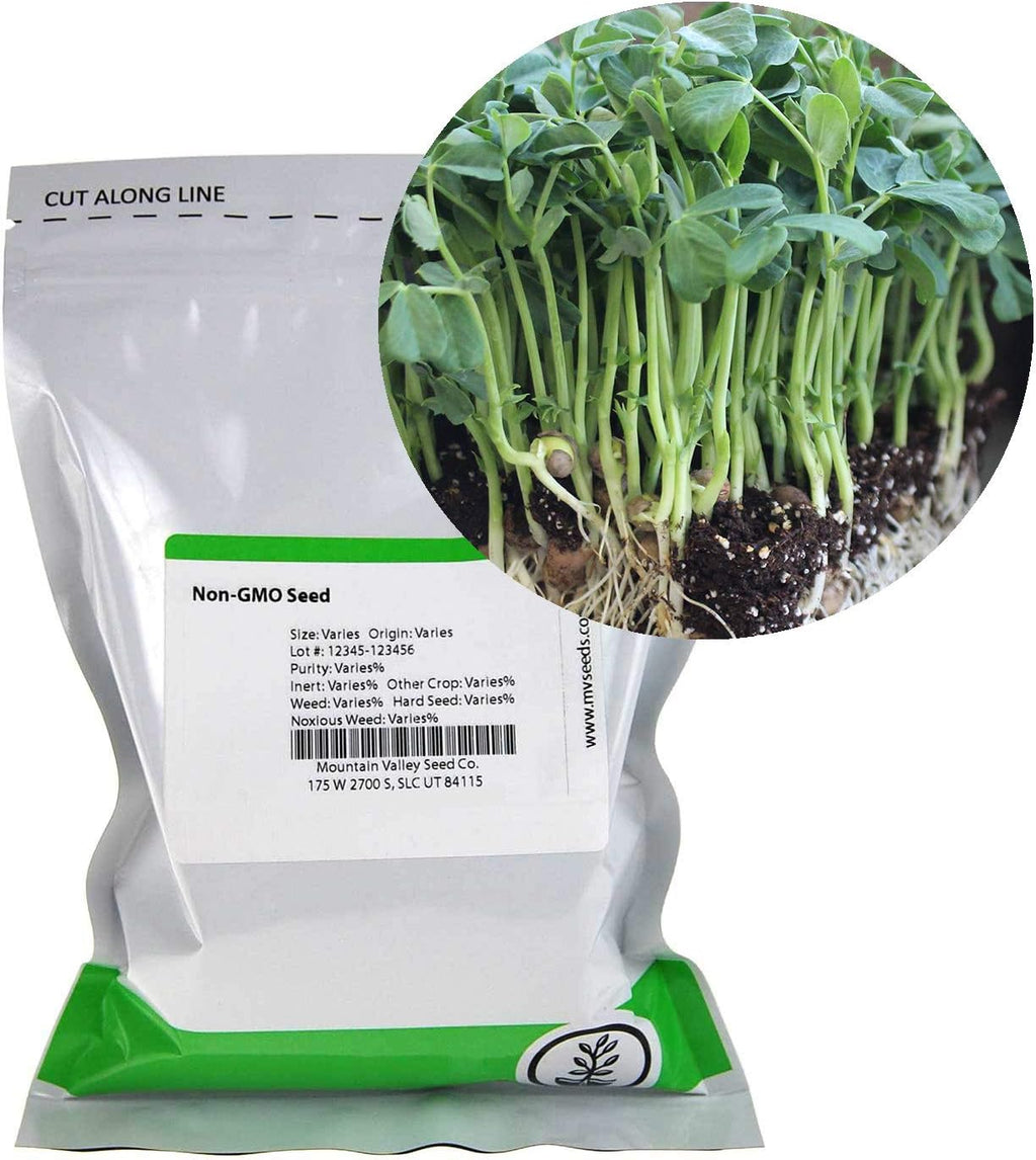 Mountain Valley Seed Co Speckled Pea Sprouting Seeds - 5 Lbs - Certified | Organic Microgreen Seeds Bulk, Non-GMO Green