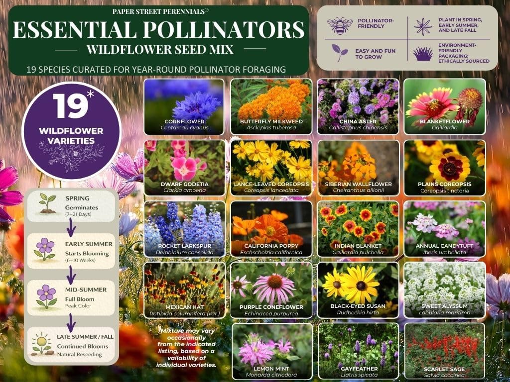 Essential Pollinator Wildflower Seed Mix – Bee & Butterfly Garden Seeds, 19 Annual & Perennial Species