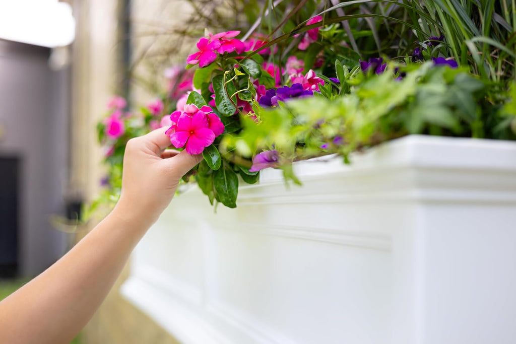Mayne Fairfield 24in Self-Watering Rectangular Window Box Planter, White | Self-watering, All season, Fade resistant
