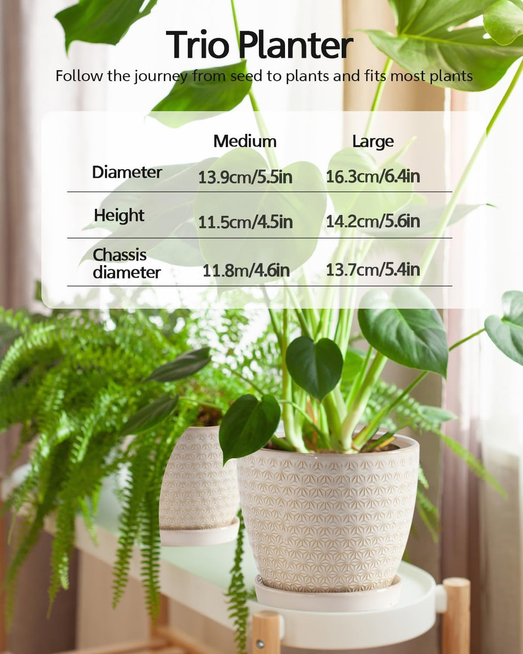 Plant Pots, Flower Pots, Planters for Indoor Plants(6.5+5.5inch), Flower Pots for Indoor Plant with Drainage Hole and