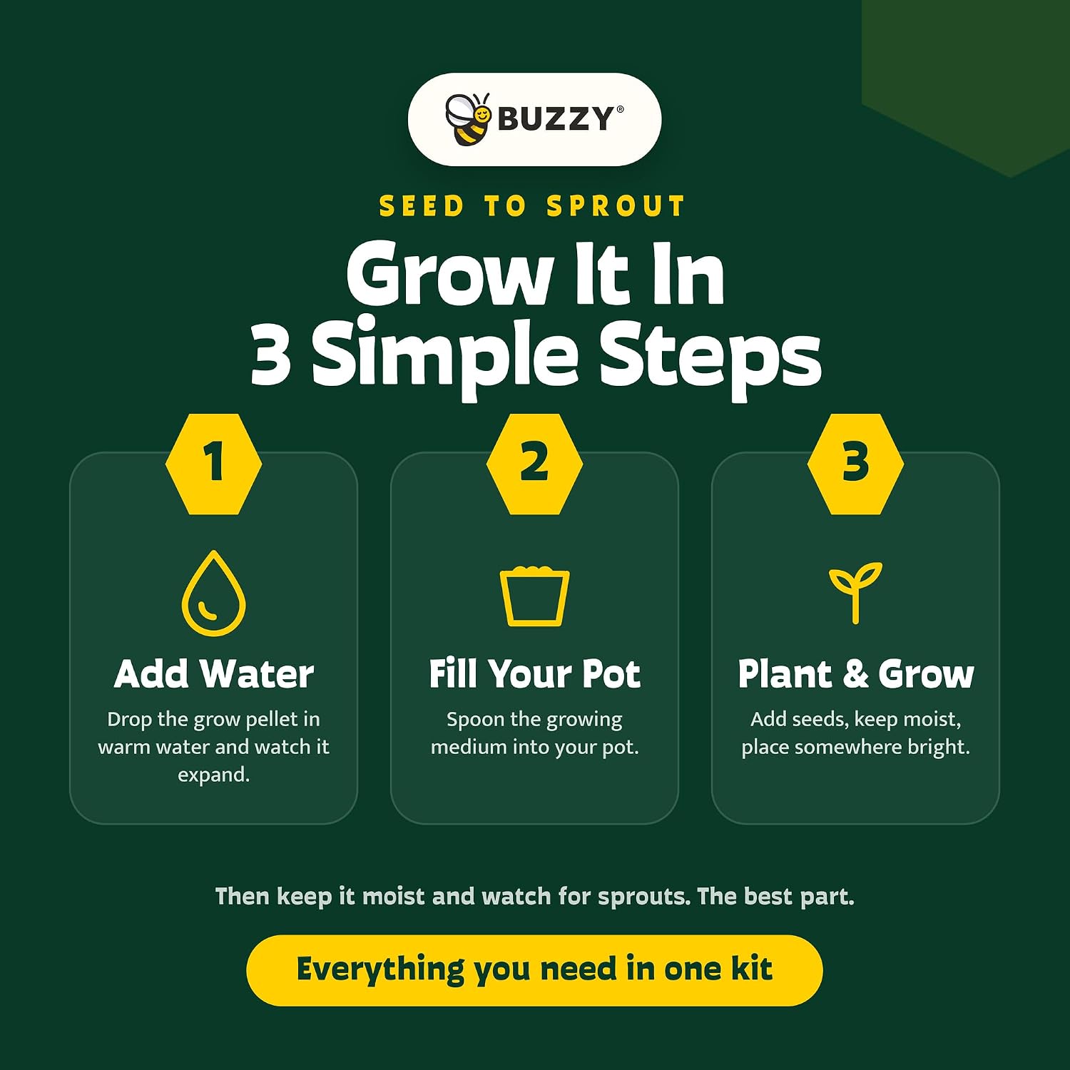 Buzzy Seeds Chaos Garden Grow Kit 3-Pack - Decorative Planter - Complete Indoor/Outdoor Gardening Kit with Seeds