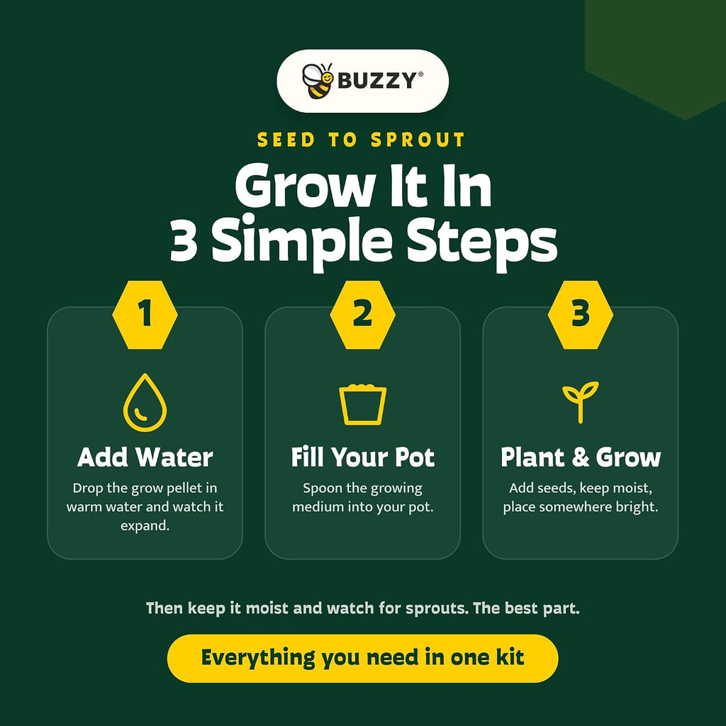 BUZZY Seeds Pollinator 2-Pack Grow Kit with Aster and Ox-Eye Sunflower Seeds, Growing Medium, and Decorative Yellow