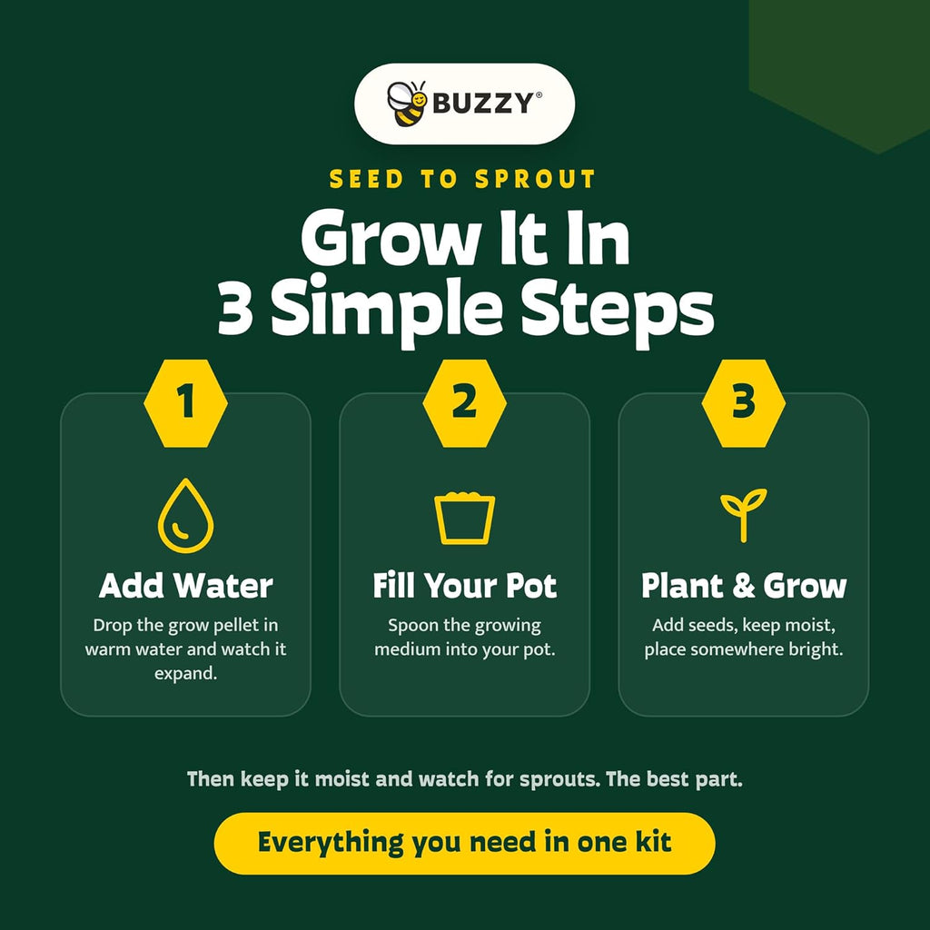 BUZZY Seeds Forget-Me-Not Grow Kit, Bulk 20-Pack - Mini Terracotta Pot Grow Set - Complete Indoor/Outdoor Gardening Kit