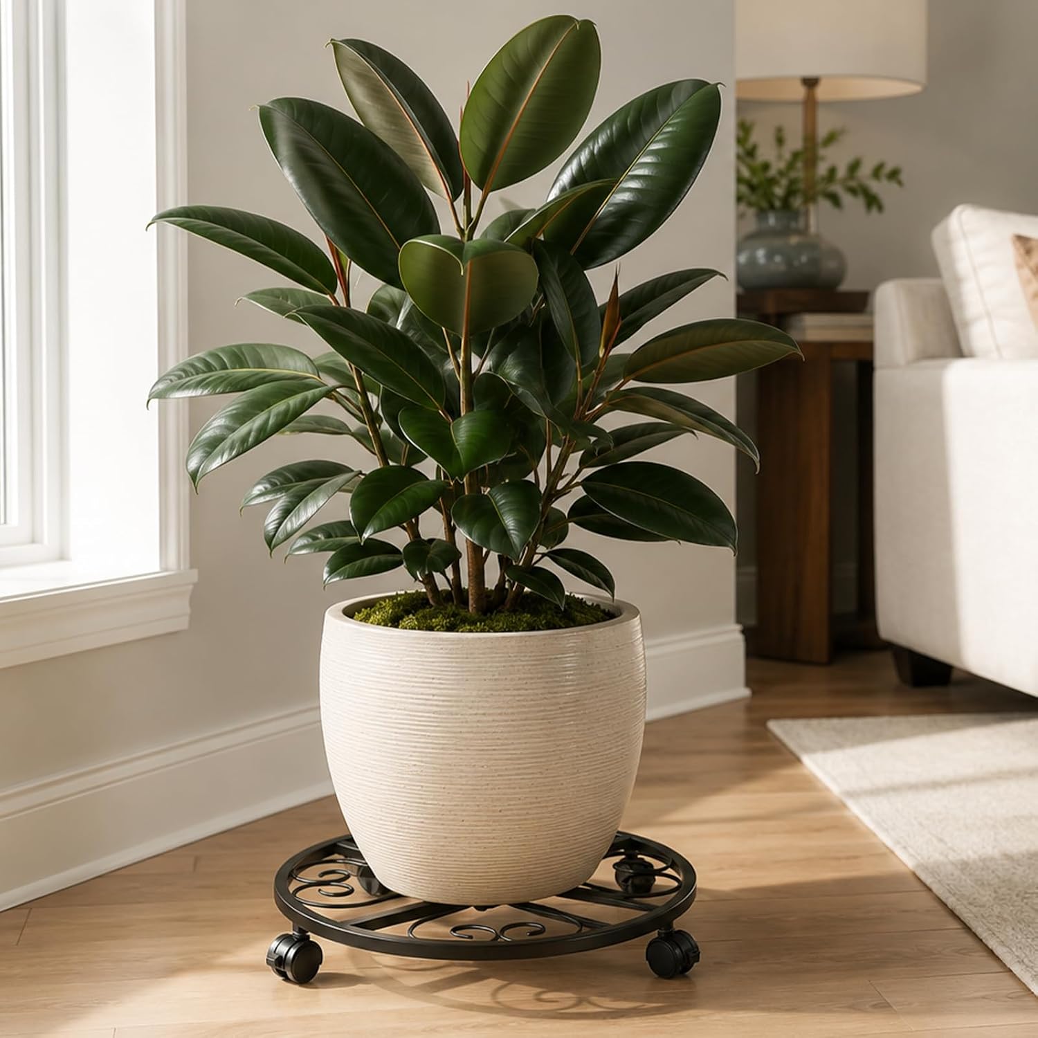 6 Pack Metal Plant Caddy with Wheels, 16 Inch Large Plant Stand with Wheels Heavy Duty Wrought Iron Rolling Plant Caddy