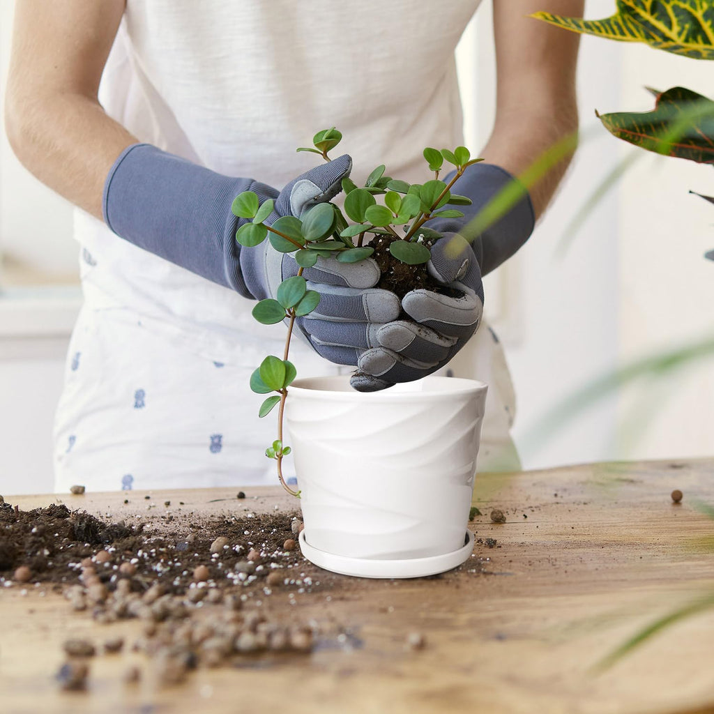 5 Inch Plant Pots,Ceramic Planter with Drainage and Saucer,Ceramic Pots for Plants,Planters for Indoor Plants,Ceramic