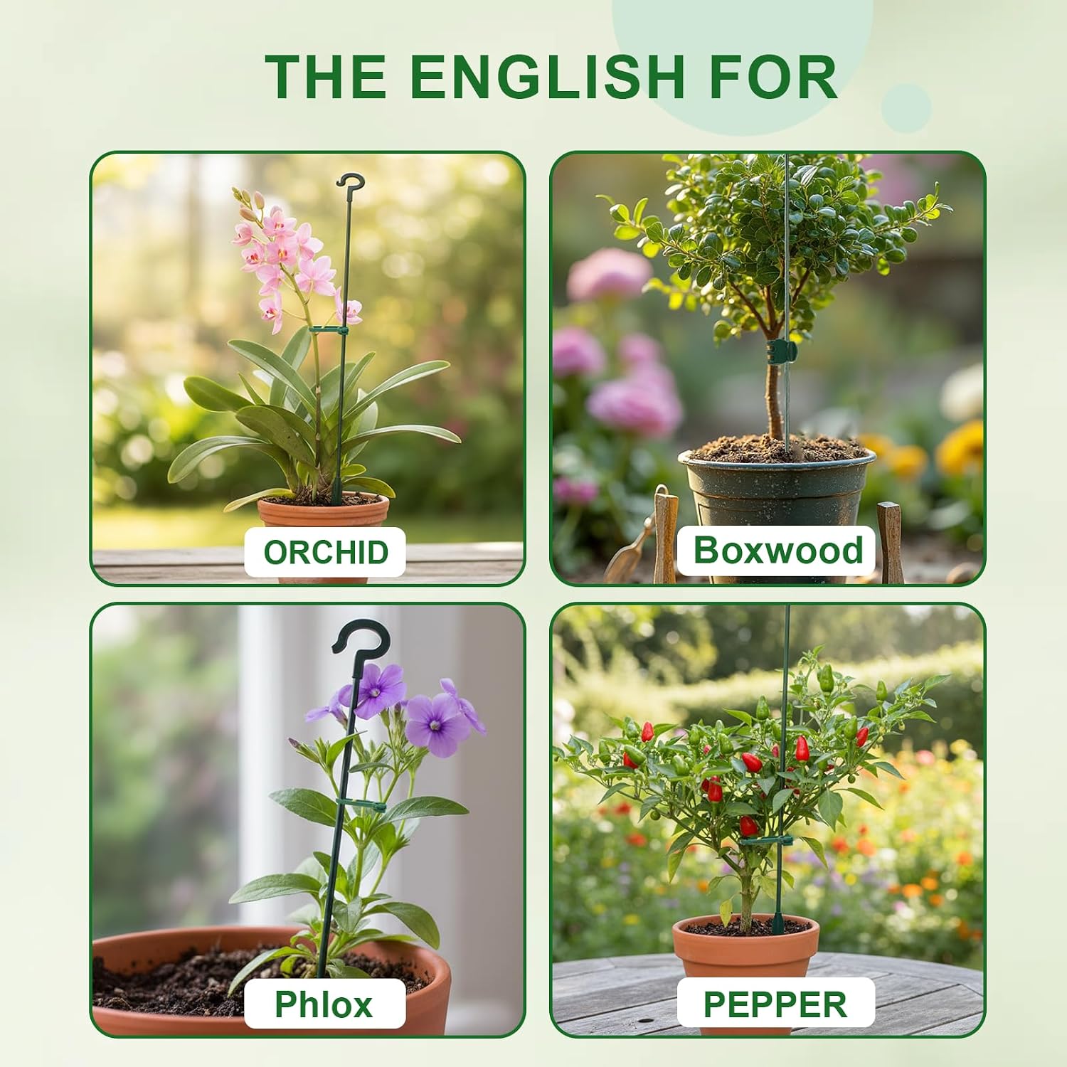 5Pack Plant Support Structures, 11'' Twig Plant Sticks with Orchid Clips Mini Scissors & Twist Ties, Flower Stakes for