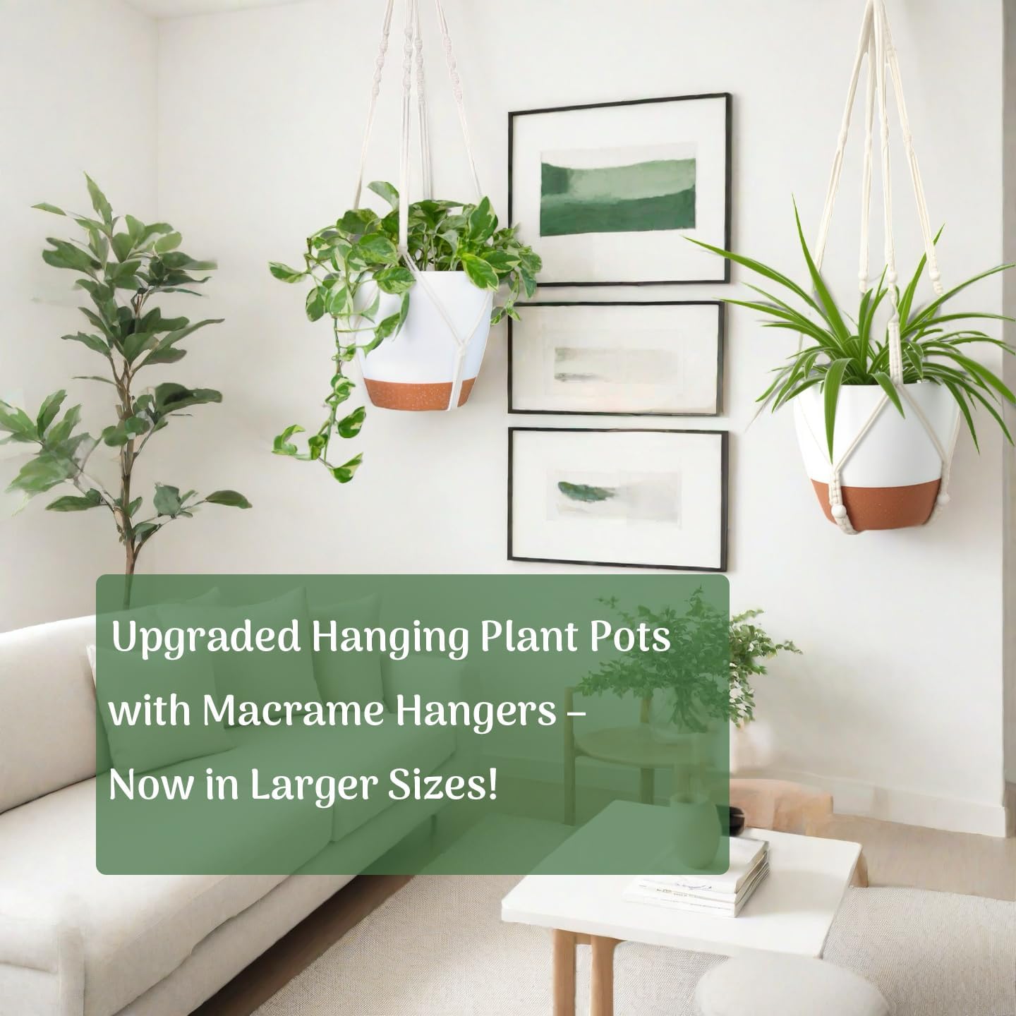 3 Pack Self Watering Hanging Planters for Indoor Plants Large 10/8/7 Inch | Hanging Pots with Macrame Plant Hangers