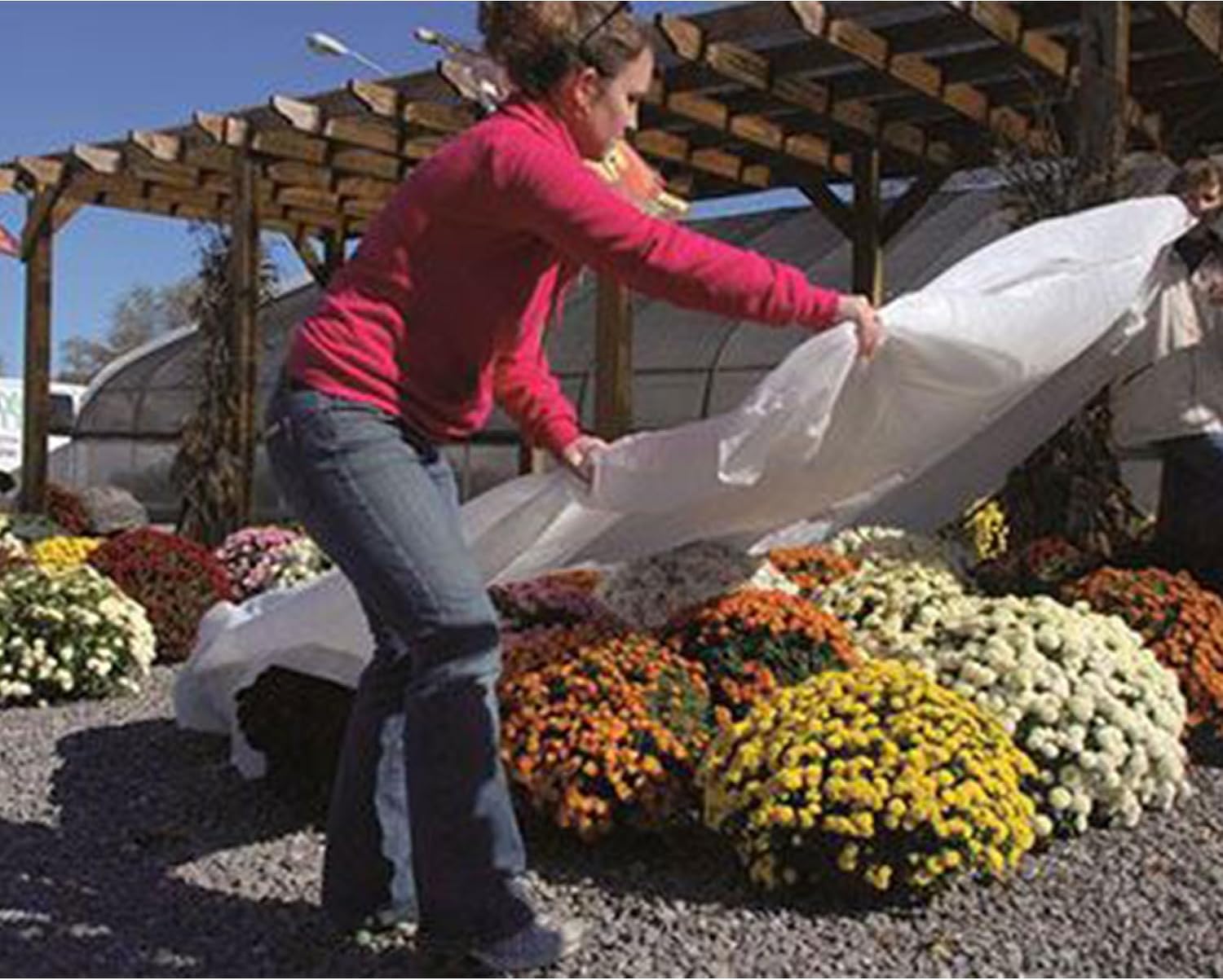Dewitt Plant Cover - Frost Cloth 1.5 oz - 3 Pack 12 x 250 ft - Fabric | Permeable Air And Water Flow, UV Treated