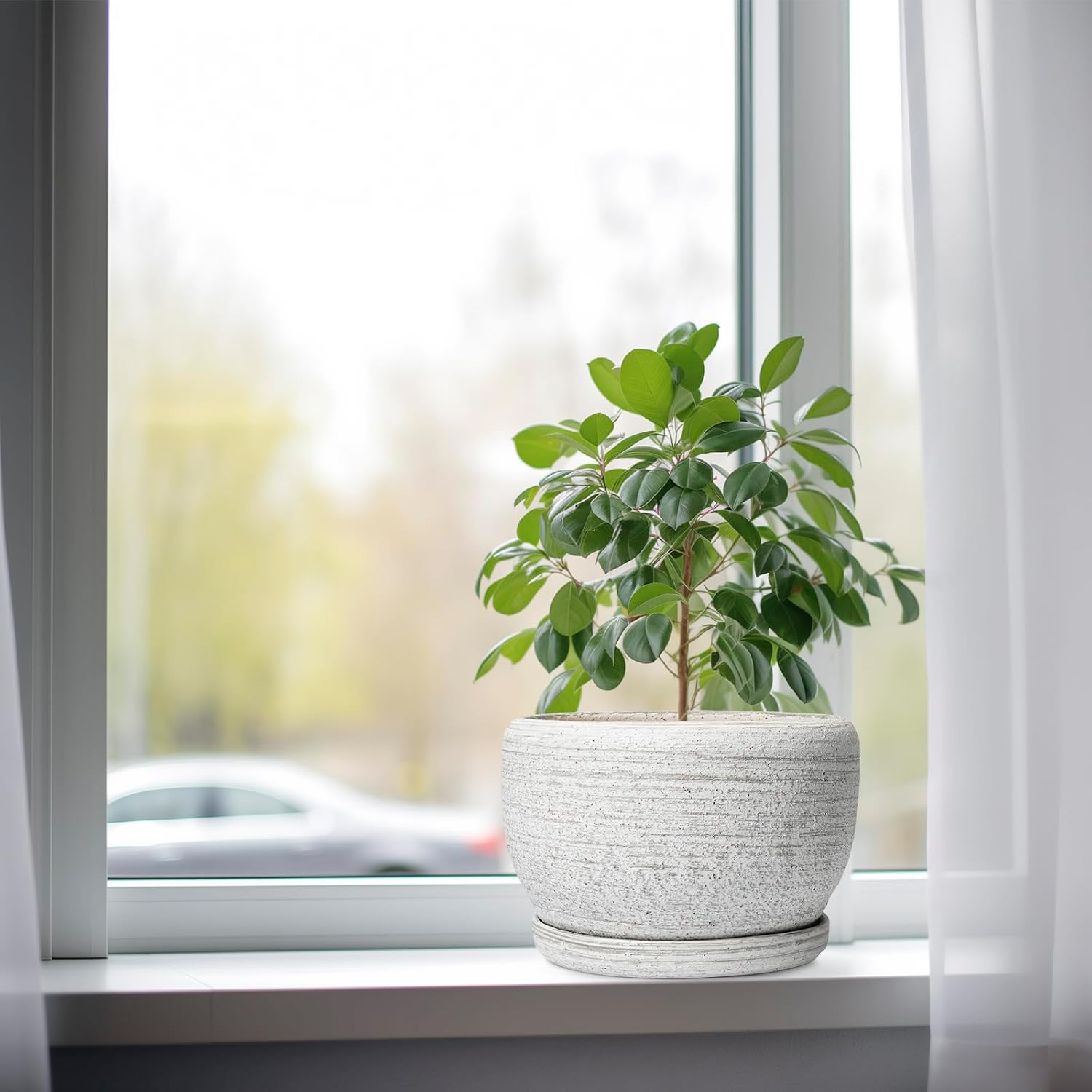 SQOWL Ceramic Plant Pots - 8 inch Planter for Indoor Plants, Round Flower Pot with Drainage Hole and Plant Saucer