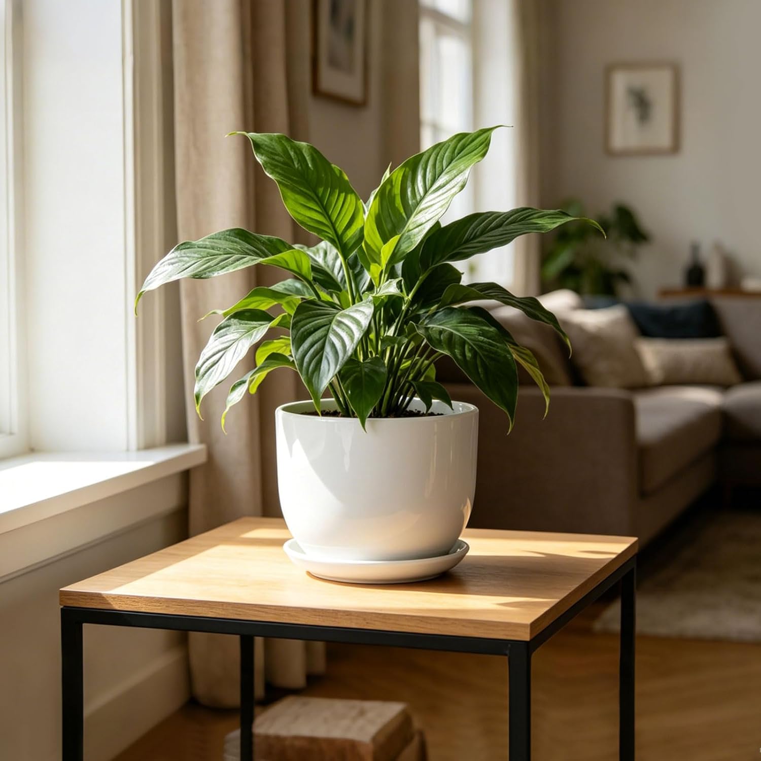 8 Inch Ceramic Planter, Plant Pots with Drainage Hole and Separable Saucer,Indoor-Outdoor Round Succulent Orchid Flower