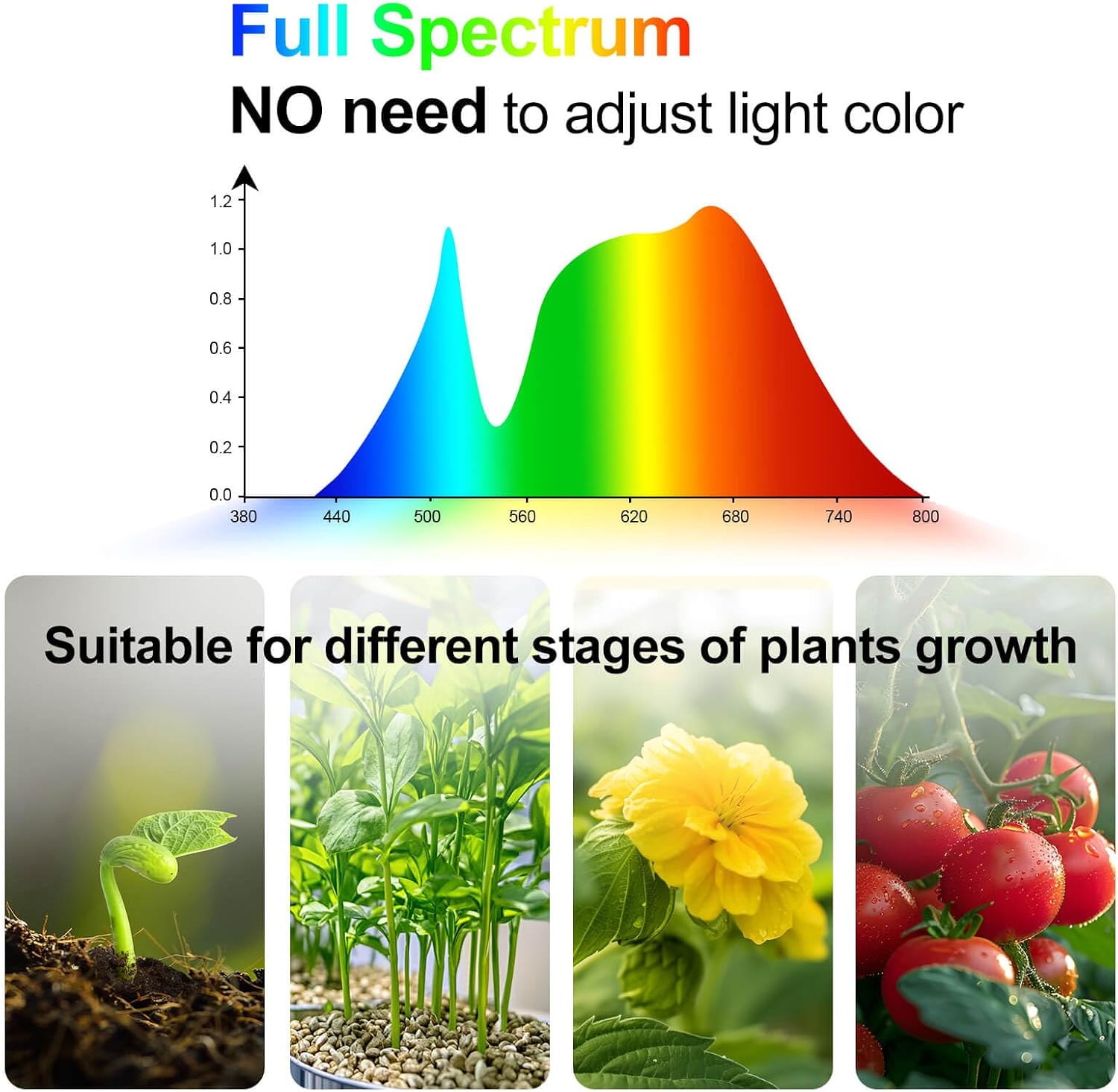 Grow Light with Stand and Timer 4,8,12,16,20 Hr, 36 Watt Standing Tall Plant Light for Bonsai Tree, Seed Starting