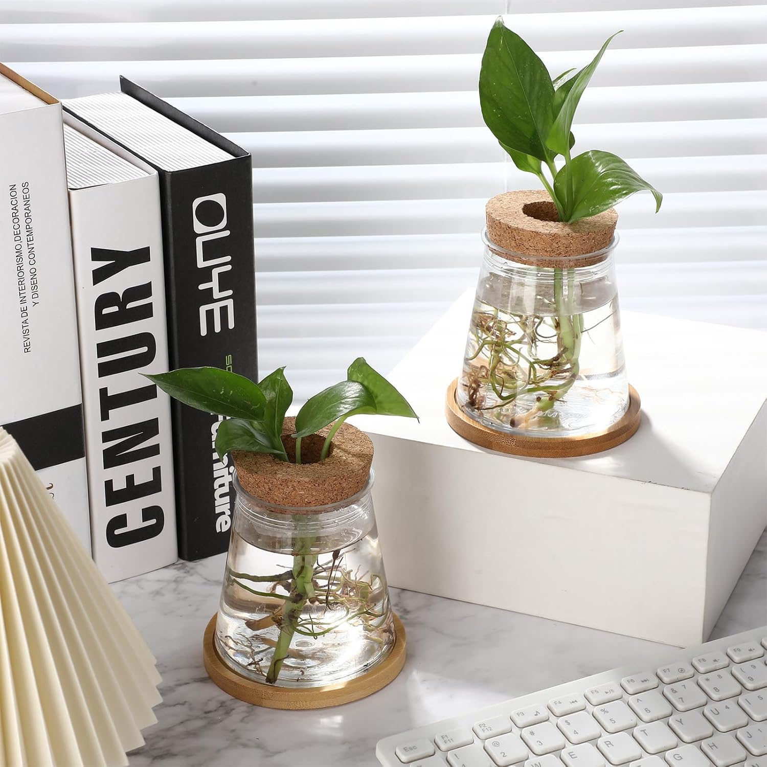 12 Packs Propagation Vases for Plants Plastic Plant Propagation with Hole Lid and Bamboo Stand Growing in Water