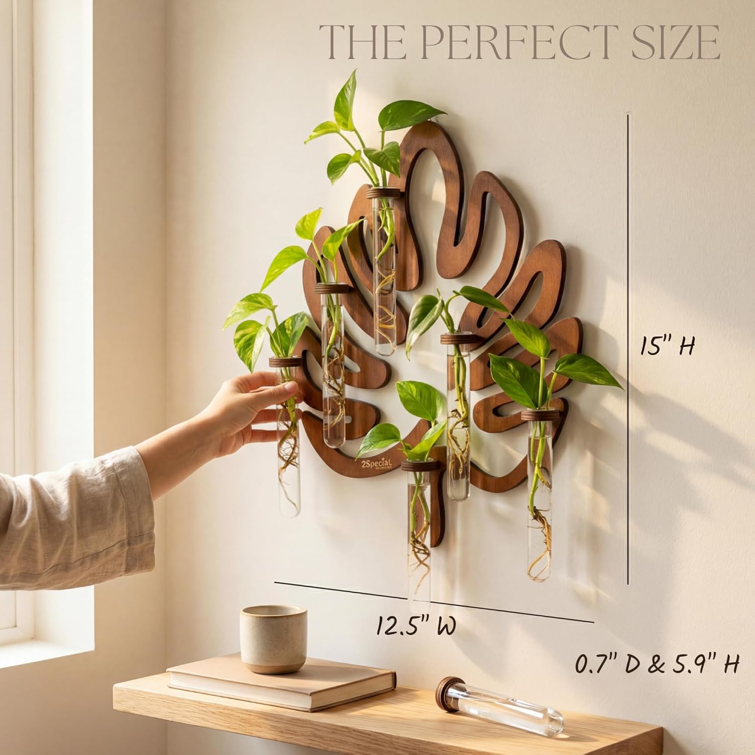 Leaf-Shaped Plant Hanging Propagation Stations with 6 Glass Vases & 1 Spare | Terrarium for Plants w/ Strengthened