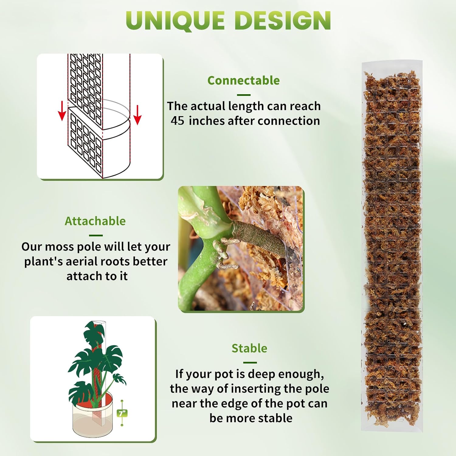 EOX Plastic Moss Pole for Monstera and Climbing Plants, 24-Inch, 8-Pack | Clear D-Shaped Design, Fold-to-Assemble
