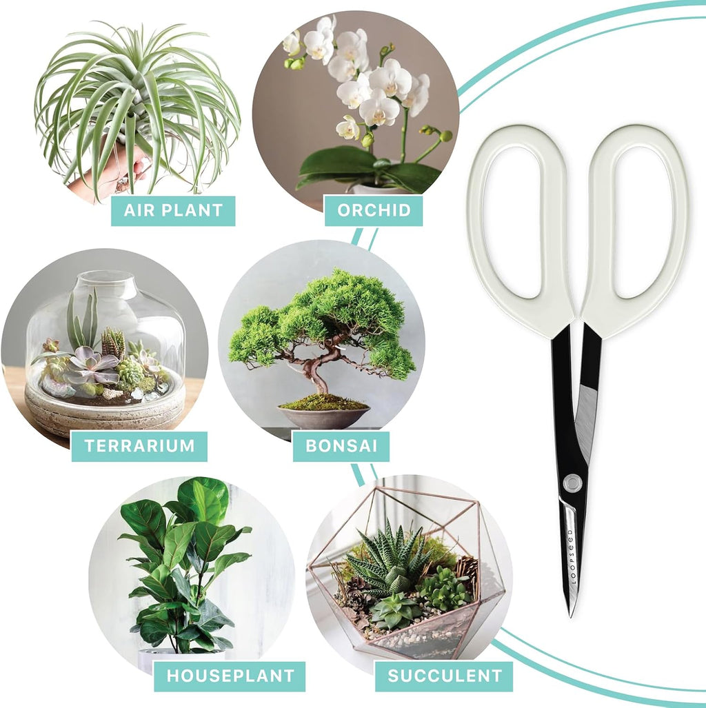 Precision Gardening Scissors Plant Trimming Pruning Shears Garden Pruners for Orchid Bonsai Hydroponic Flower Clipper