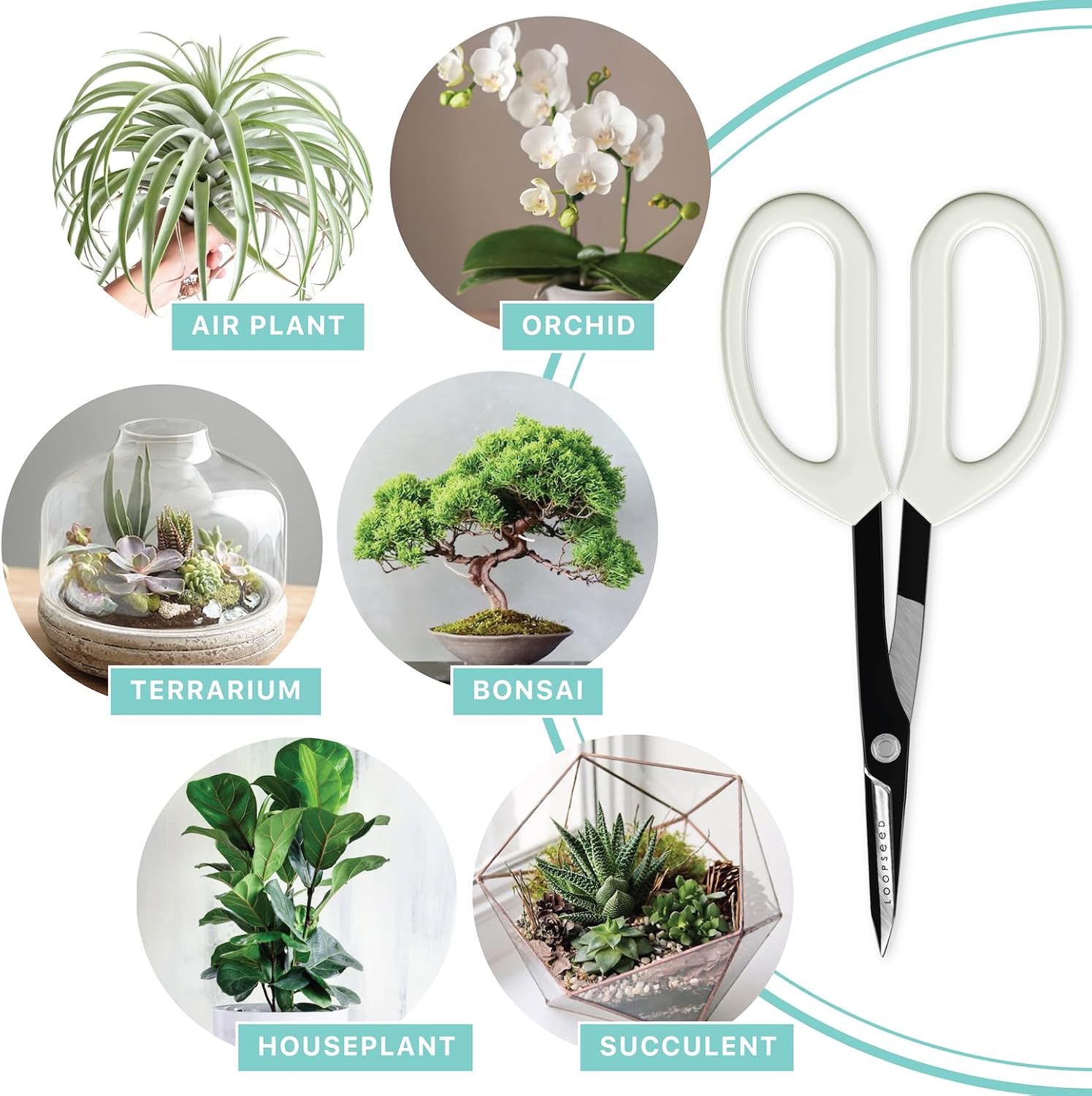 Precision Gardening Scissors Plant Trimming Pruning Shears Garden Pruners for Orchid Bonsai Hydroponic Flower Clipper