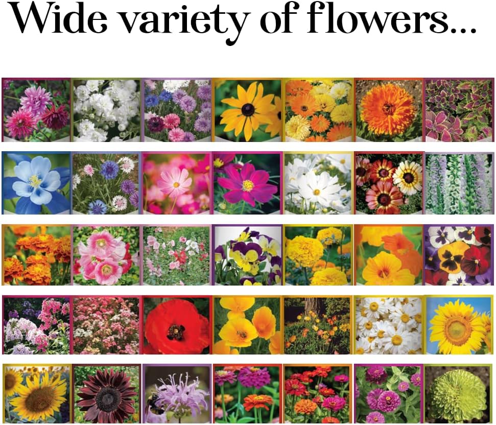 Gardeners Basics 35 Variety Heirloom Flower Seeds for Planting Outdoors | 35 annual and perennial varieties; over