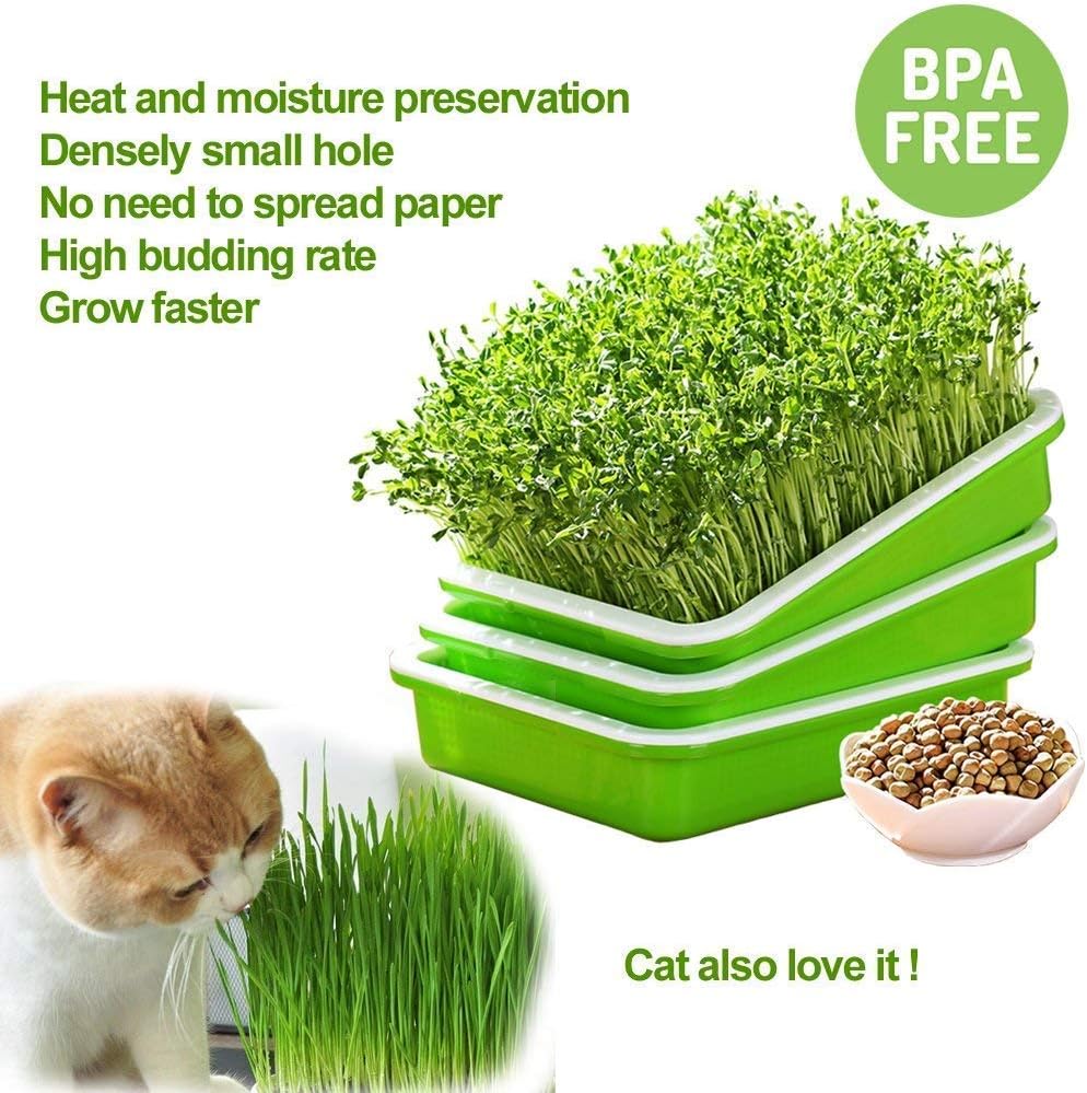 2 Pack of BPA Free Home Microgreen Soilless Hydroponics Seed Sprouter Grow Tray with Cover + Free Spray Bottle and 20