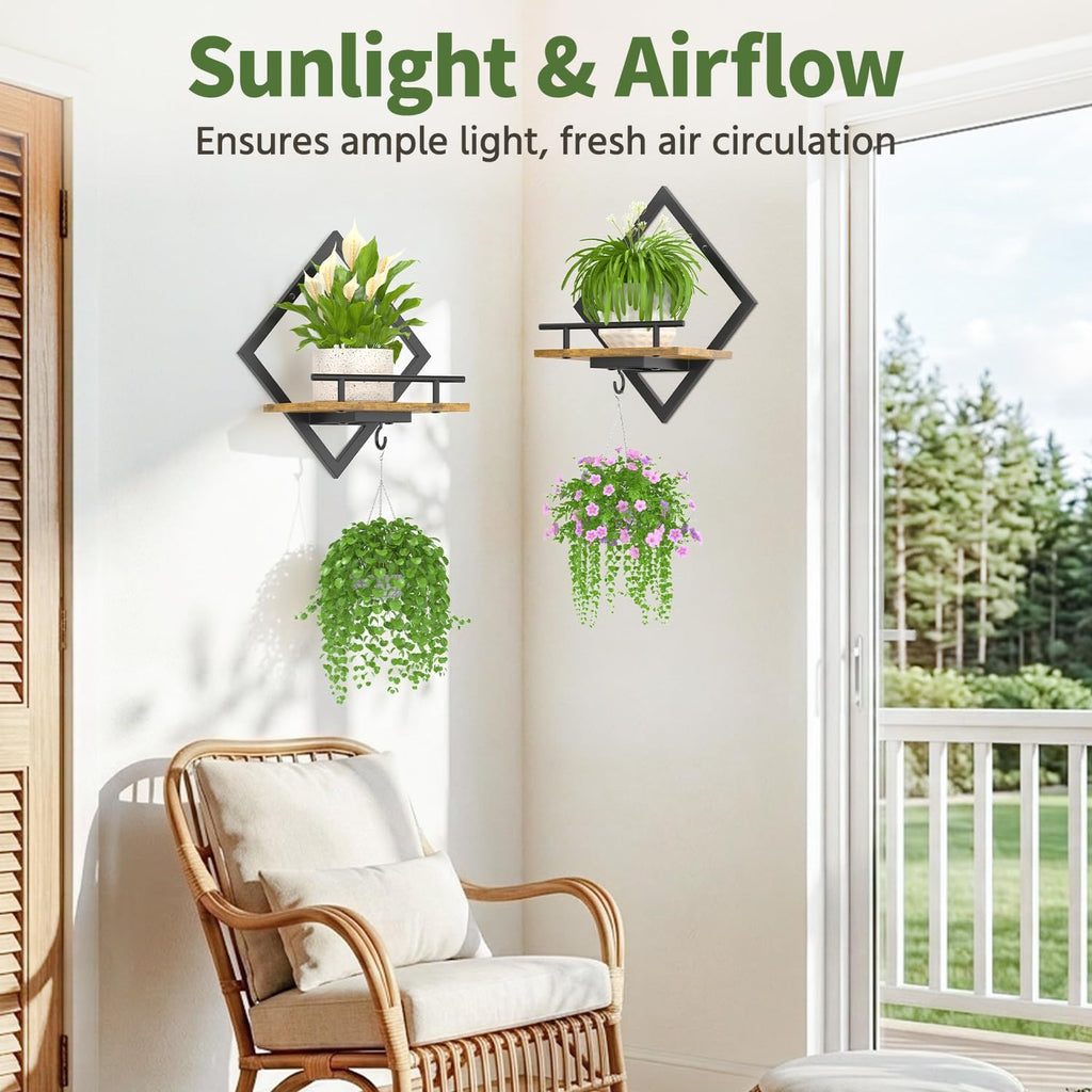 LASZOLA Plant Picture Frame Holder Shelf Wall Window Indoor, 2 Pcs Brown | Modern Floating Flower Hanger Wall Mounted