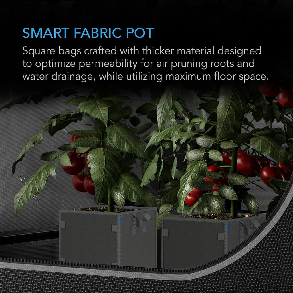 AC Infinity Square Heavy Duty Fabric Pots, 11 Liter Aeration Reusable Grow | 5-Pack Grow Bags w/ 500G Thick Nonwoven