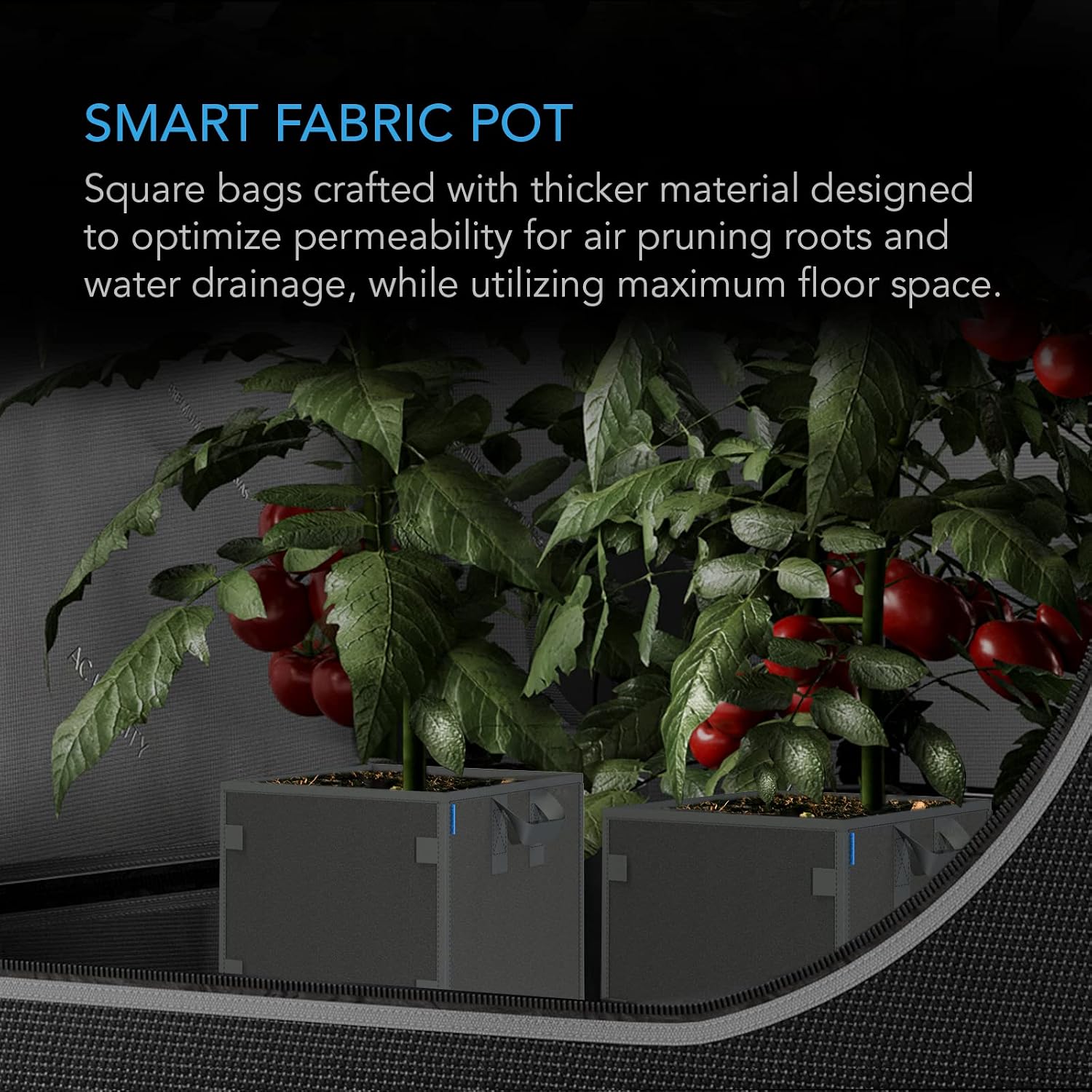 AC Infinity Square Heavy Duty Fabric Pots, 20 Liter Aeration Reusable Grow | 5-Pack Grow Bags w/ 500G Thick Nonwoven