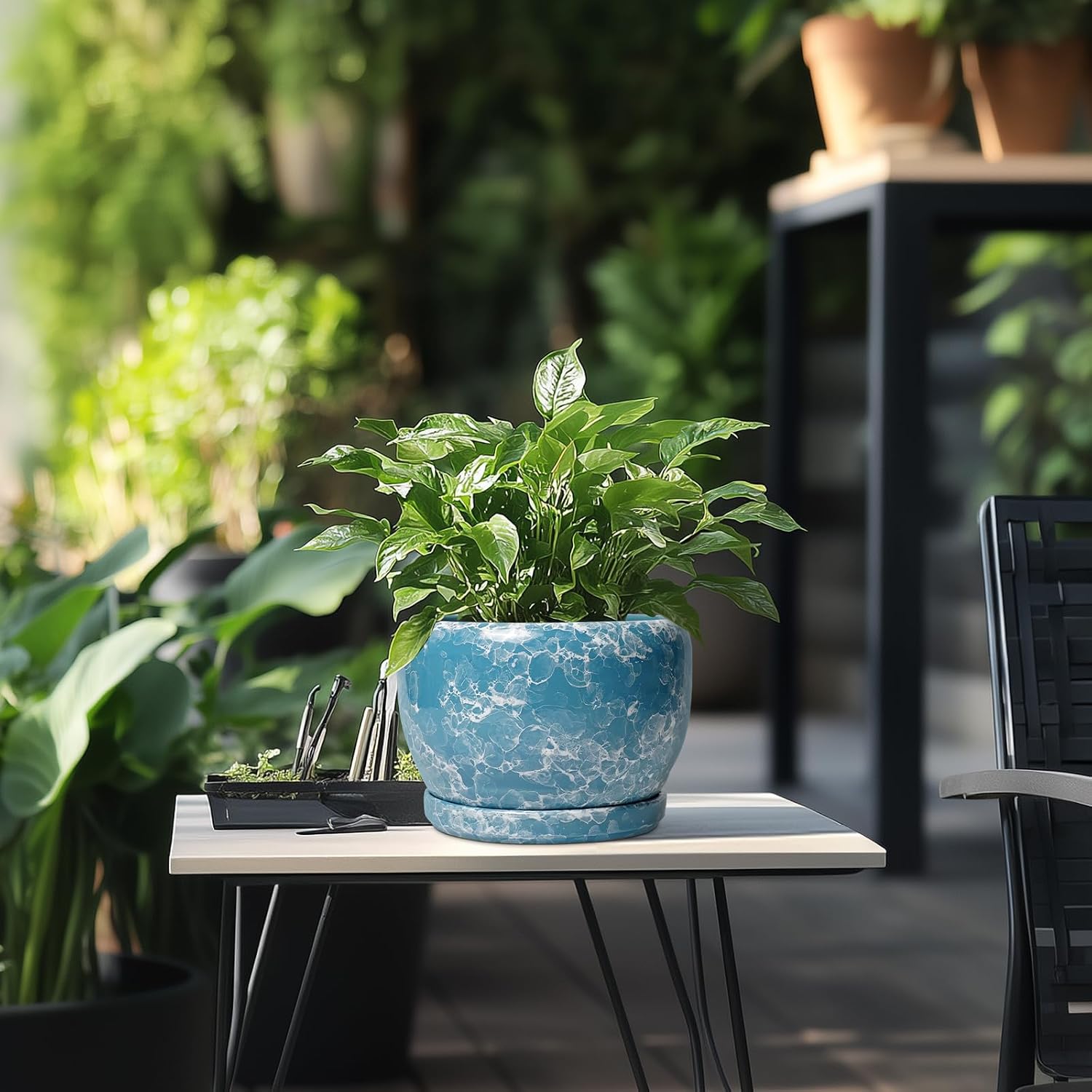 SQOWL Ceramic Pots for Plants - 8 Inch Ceramic Planter for Indoor Outdoor, Decorative Flower Pot with Drainage Hole and