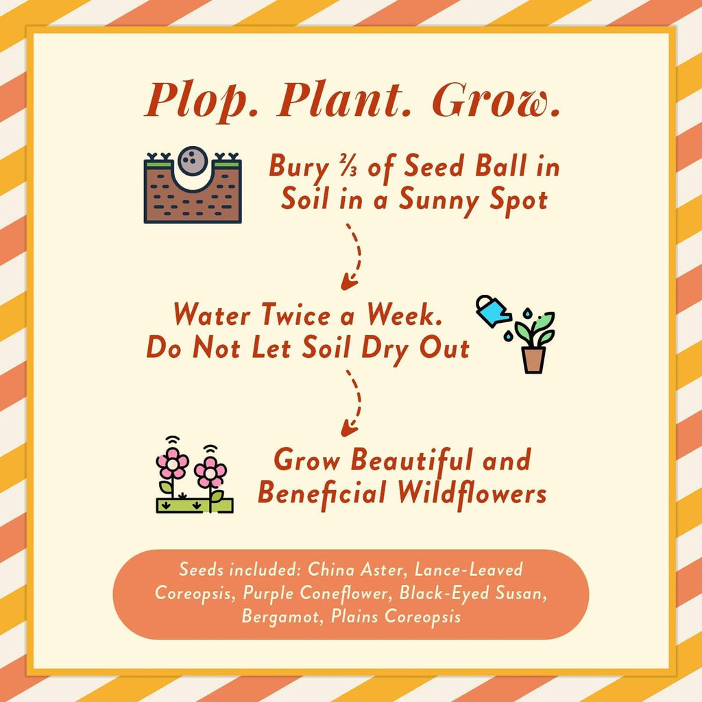 Modern Sprout Wildflower Seed Ball Poop - Non-GMO Seed Bombs, Pack of 3 | Eco-Friendly Hand-Rolled Clay Gardening Gift