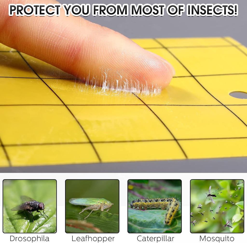 Qualirey 200 Sticky Trap for Gnats 3 x 5'' Dual Side Sticky Fruit Fly Trap with Tie Plant for Flying Insect Fungus Bugs