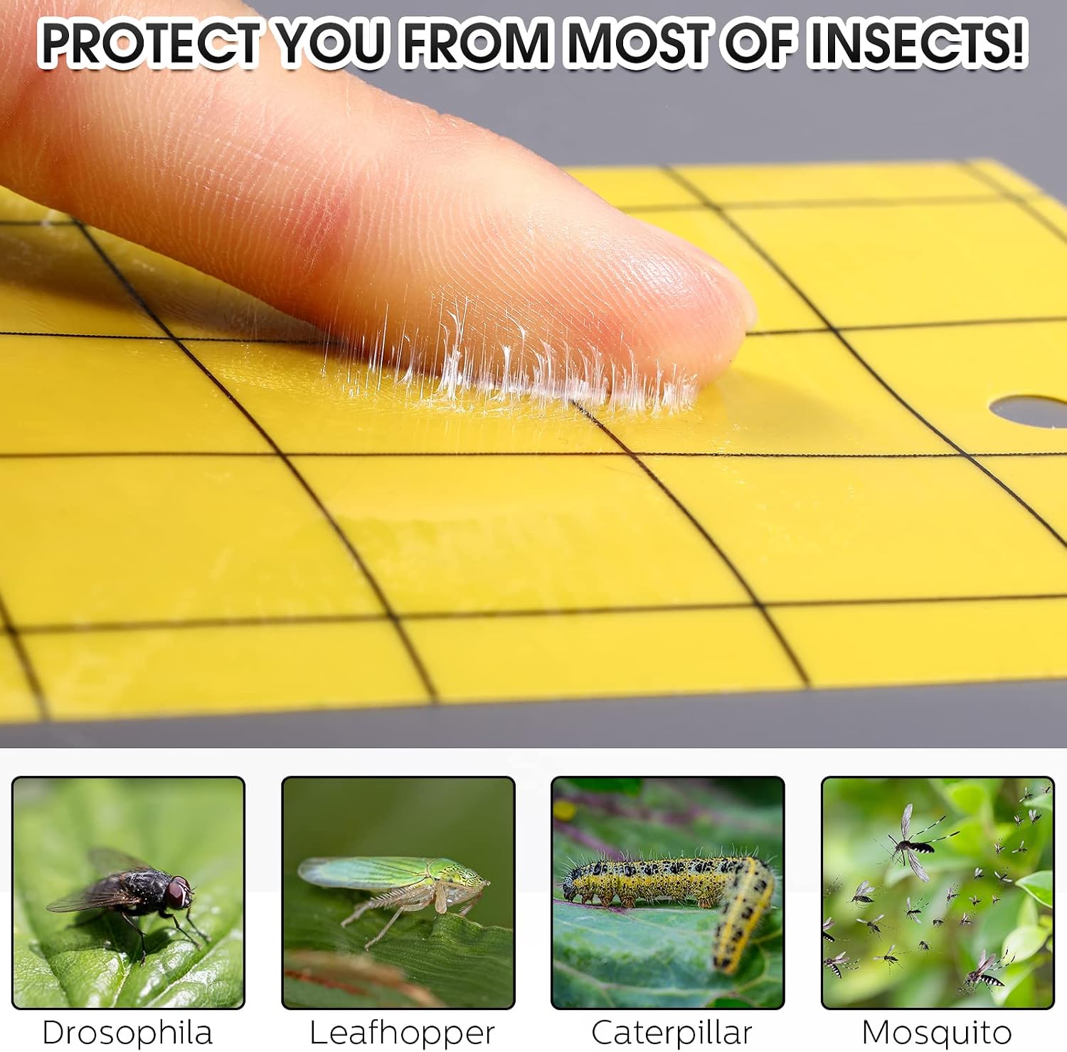 Qualirey 200 Sticky Trap for Gnats 3 x 5'' Dual Side Sticky Fruit Fly Trap with Tie Plant for Flying Insect Fungus Bugs